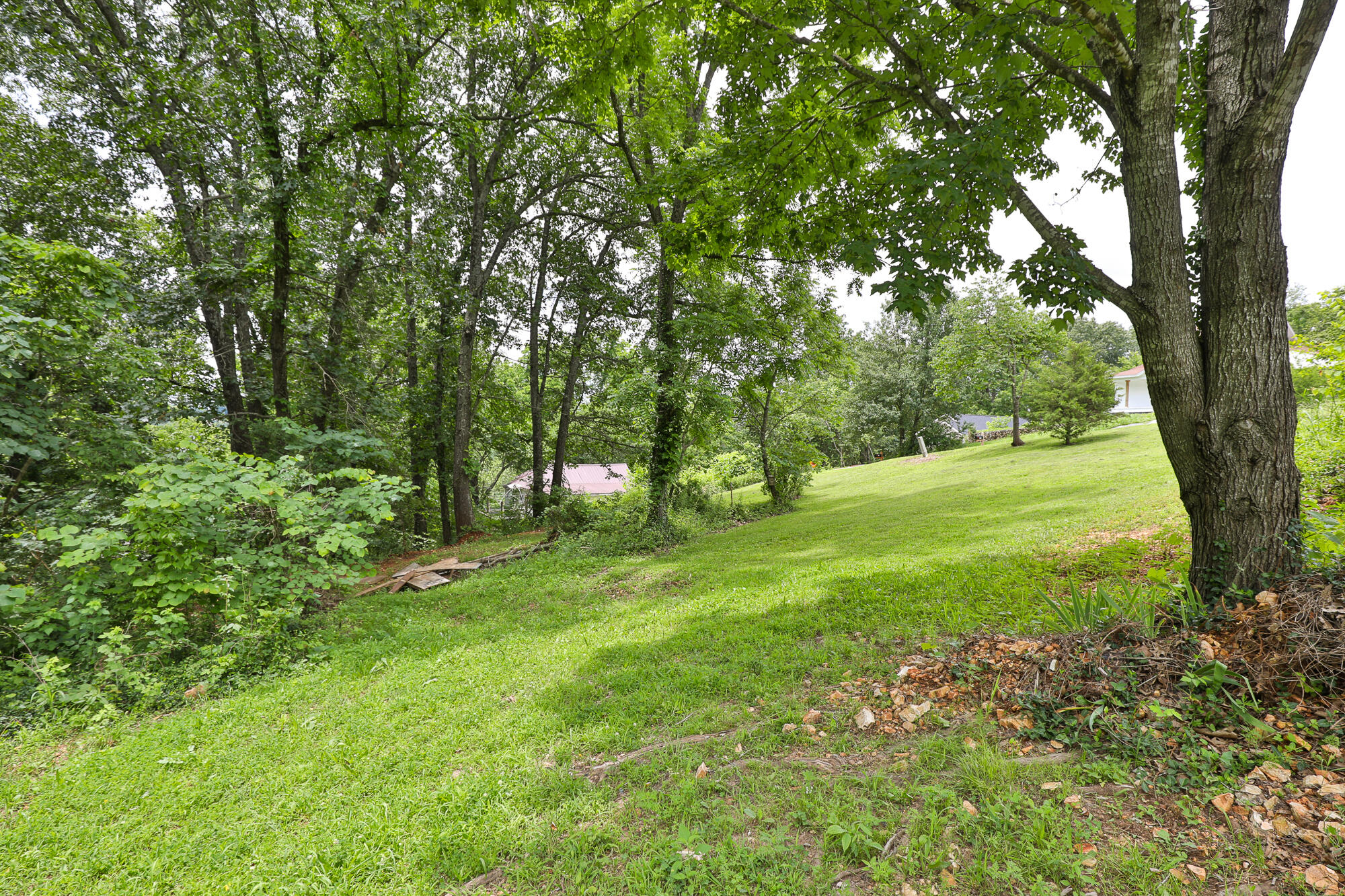 311 College Street Property Photo 30