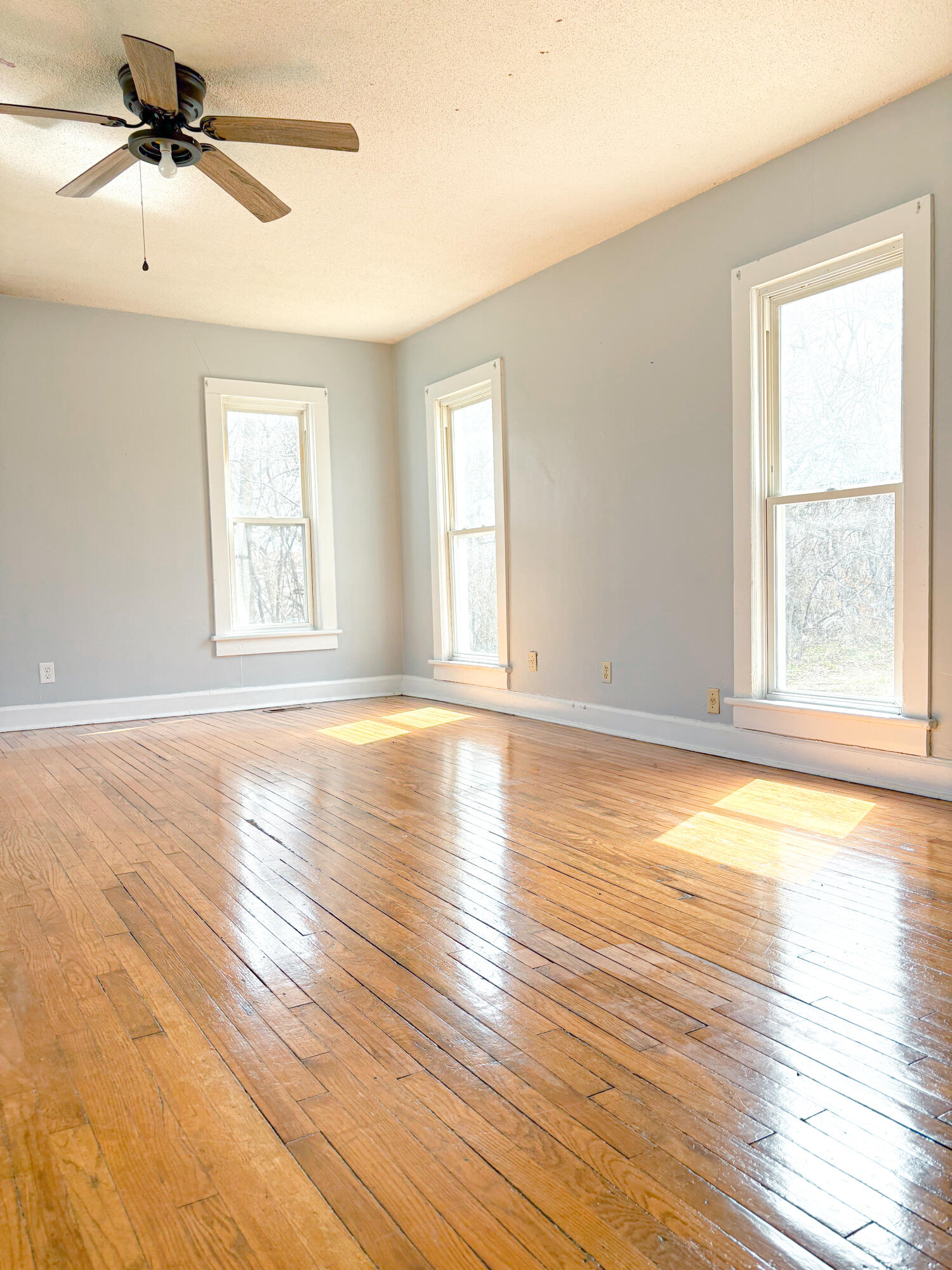 317 West Brook Street Property Photo 4