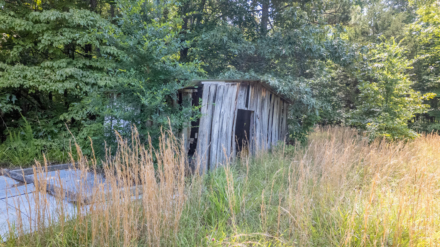 167 Timber Valley Road Property Photo 25