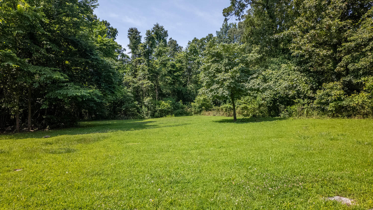 167 Timber Valley Road Property Photo 37