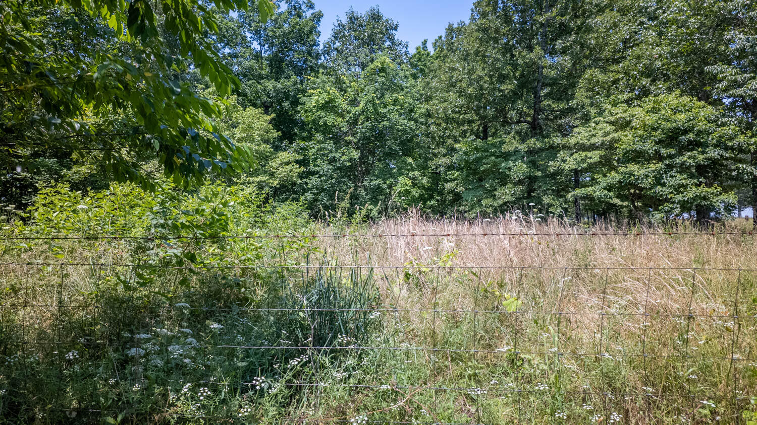 167 Timber Valley Road Property Photo 38