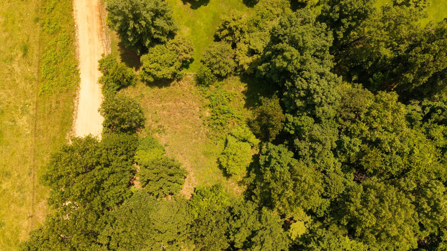 167 Timber Valley Road Property Photo 43