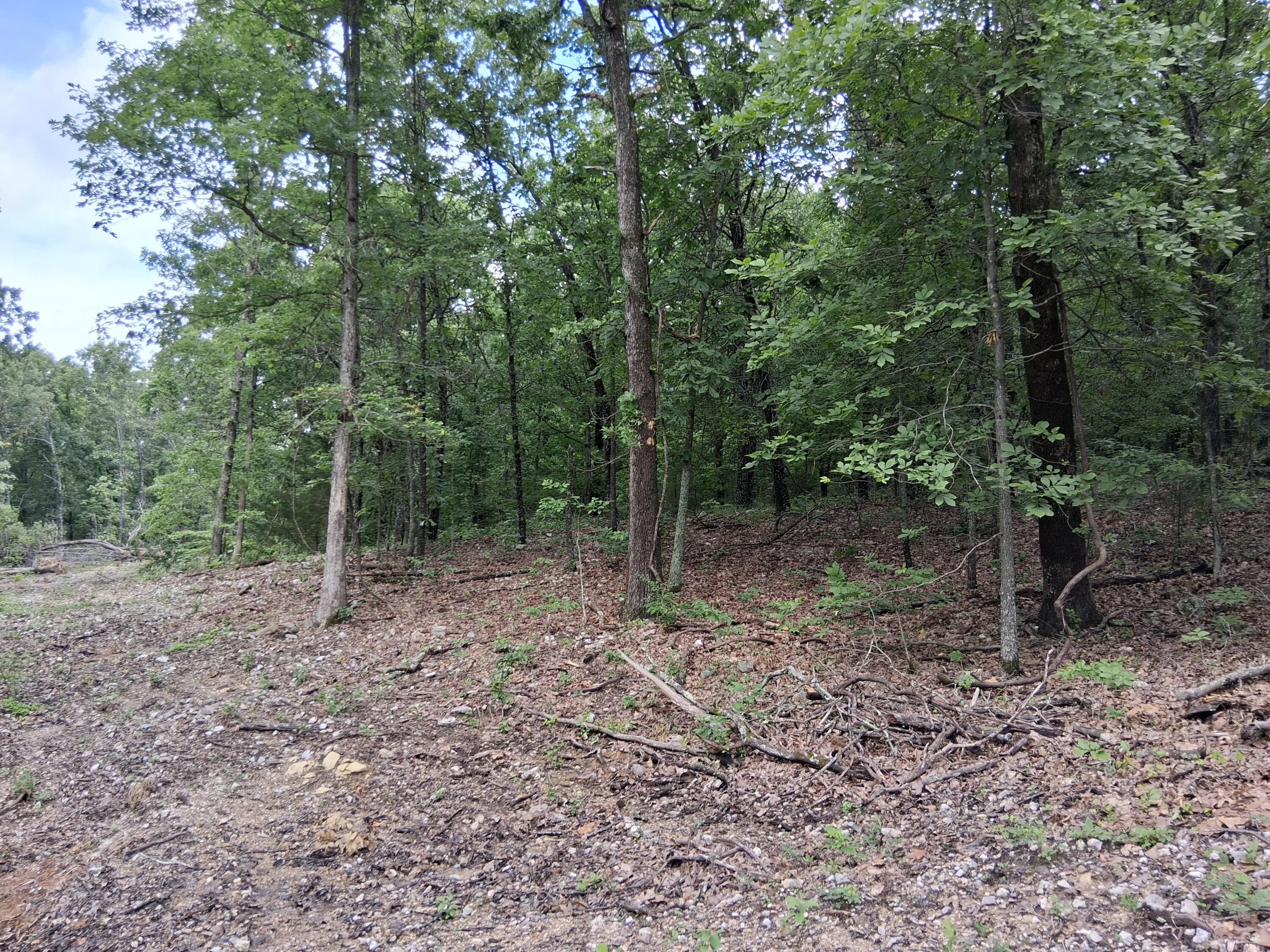 Tbd County Road 350 Property Photo 1