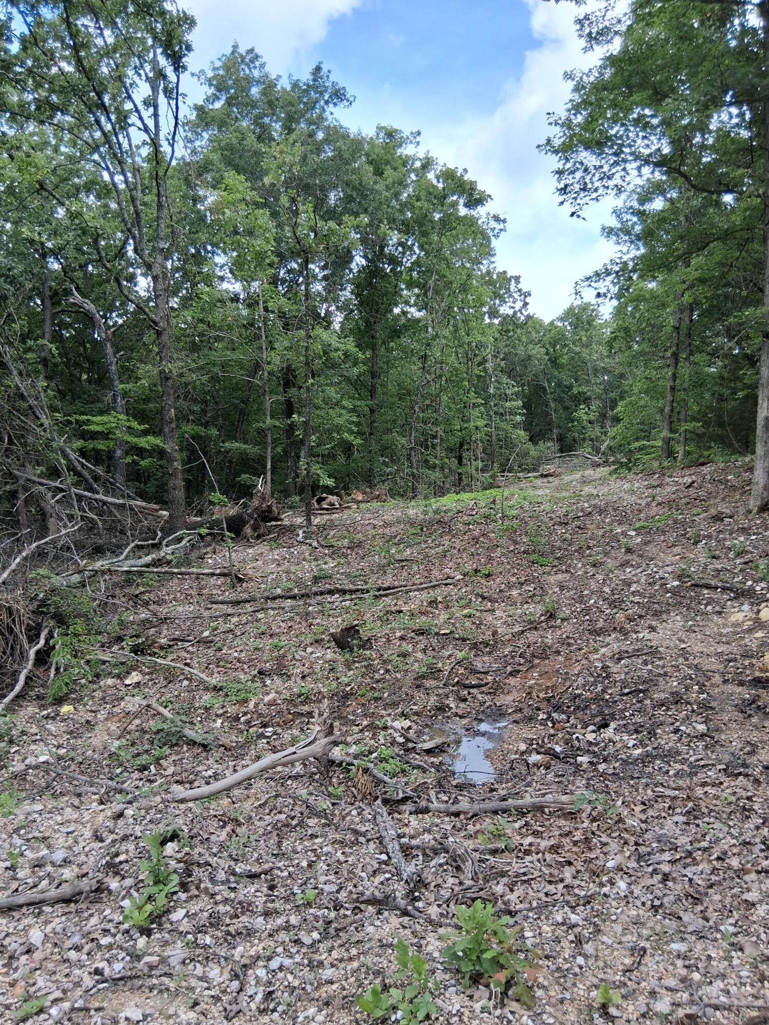 Tbd County Road 350 Property Photo 2