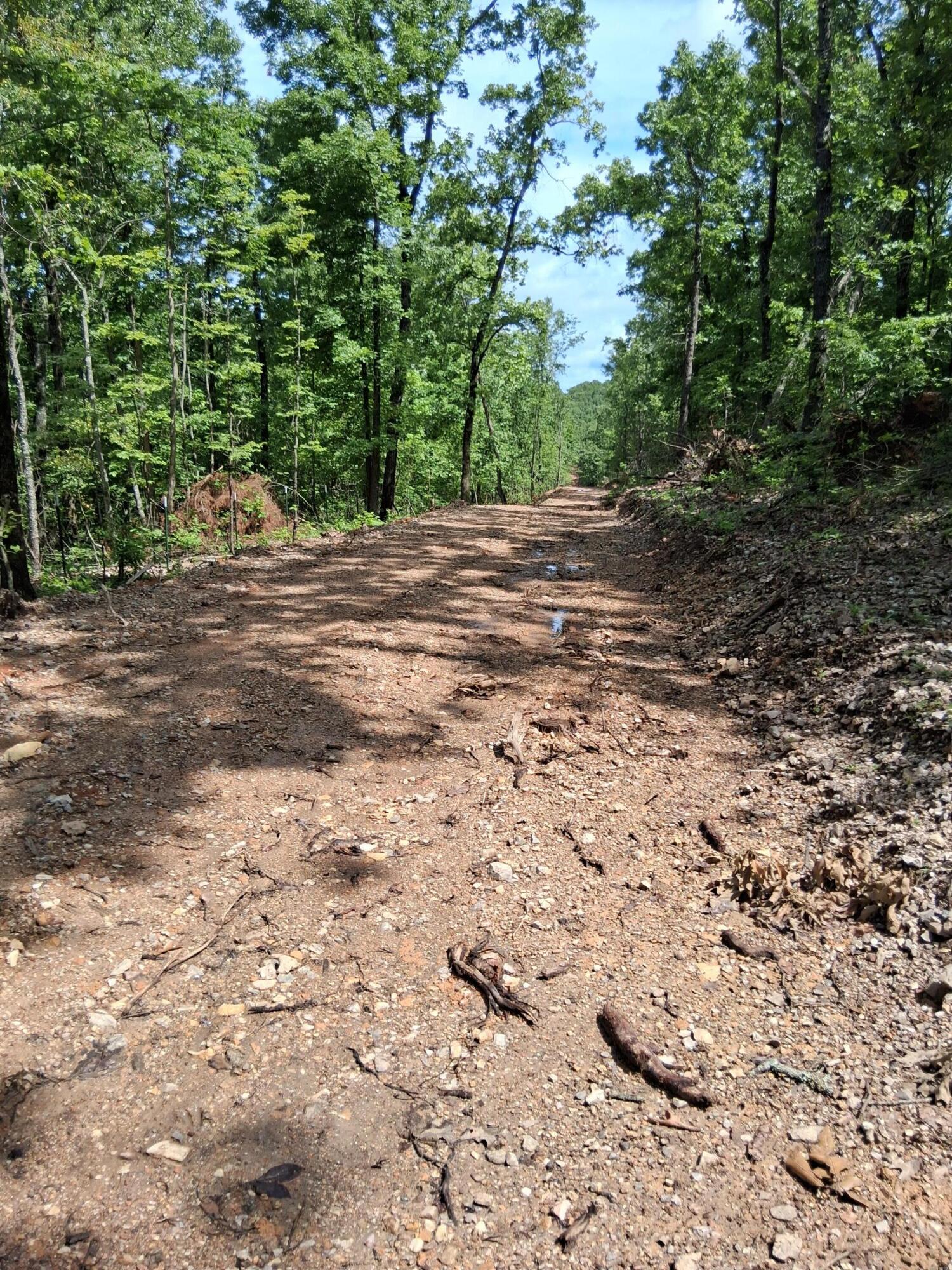 Tbd County Road 350 Property Photo 6