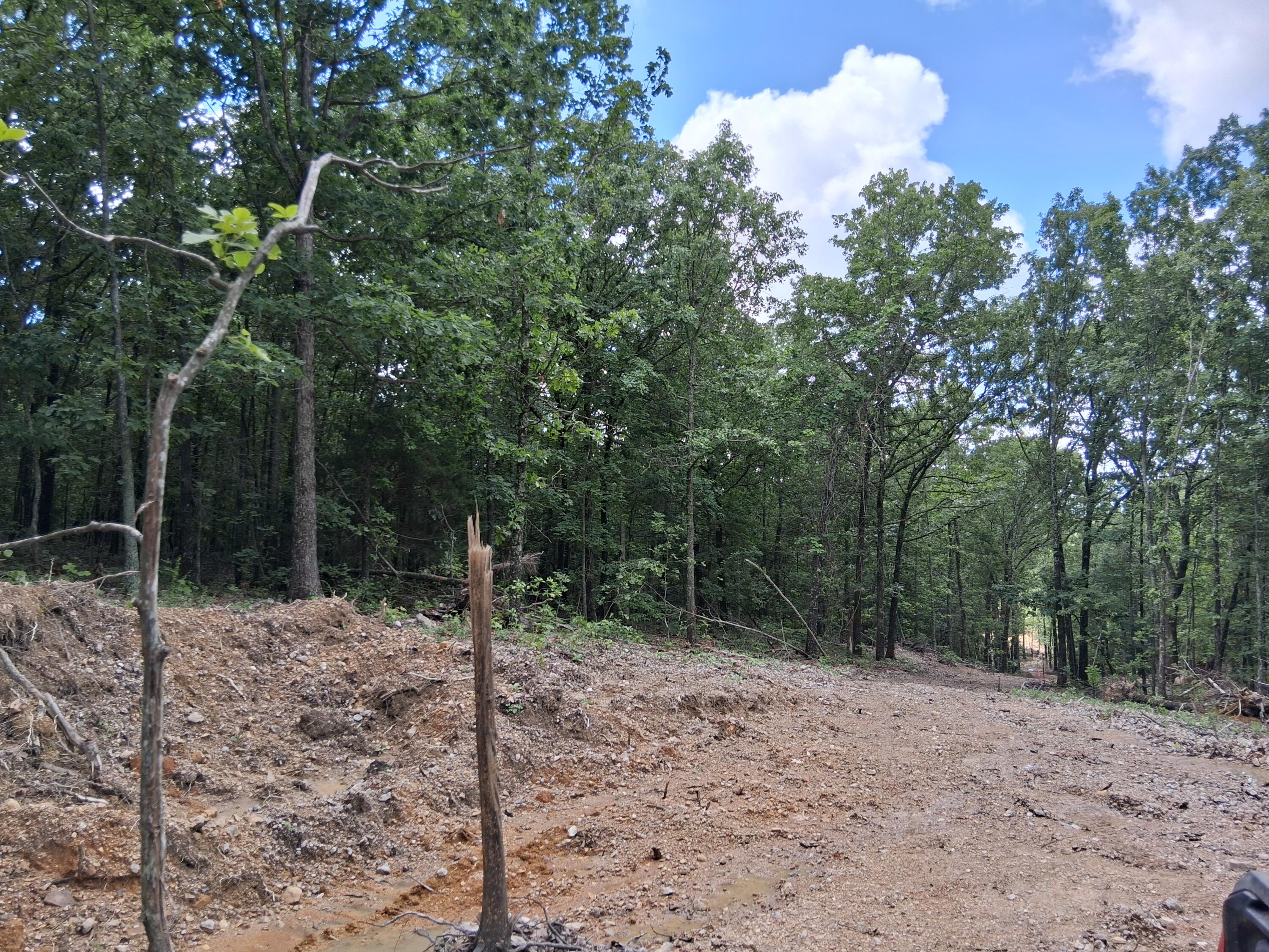 Tbd County Road 350 Property Photo 8