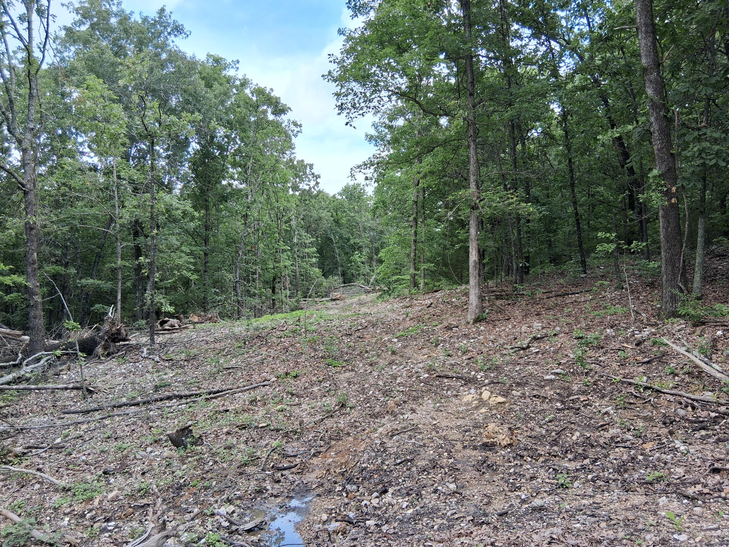 Tbd County Road 350 Property Photo 1