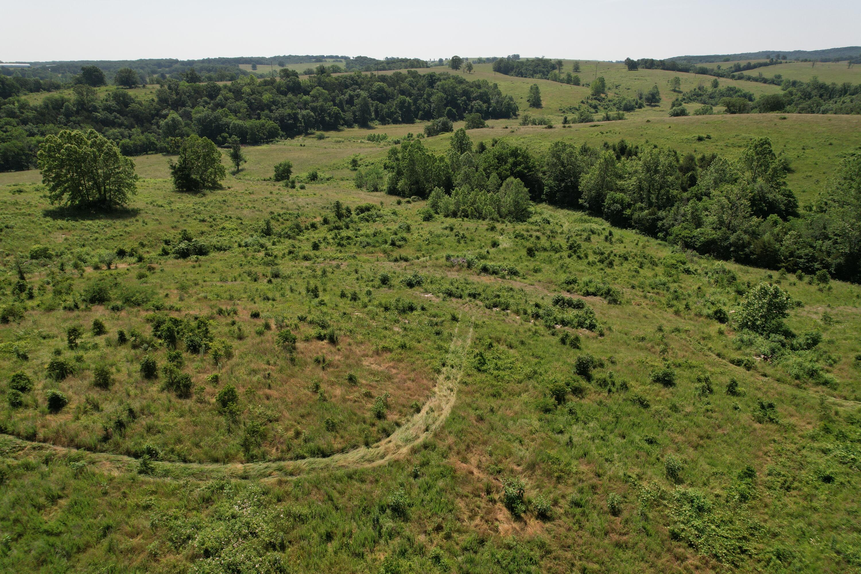 0000 State Highway 86 Property Photo 12