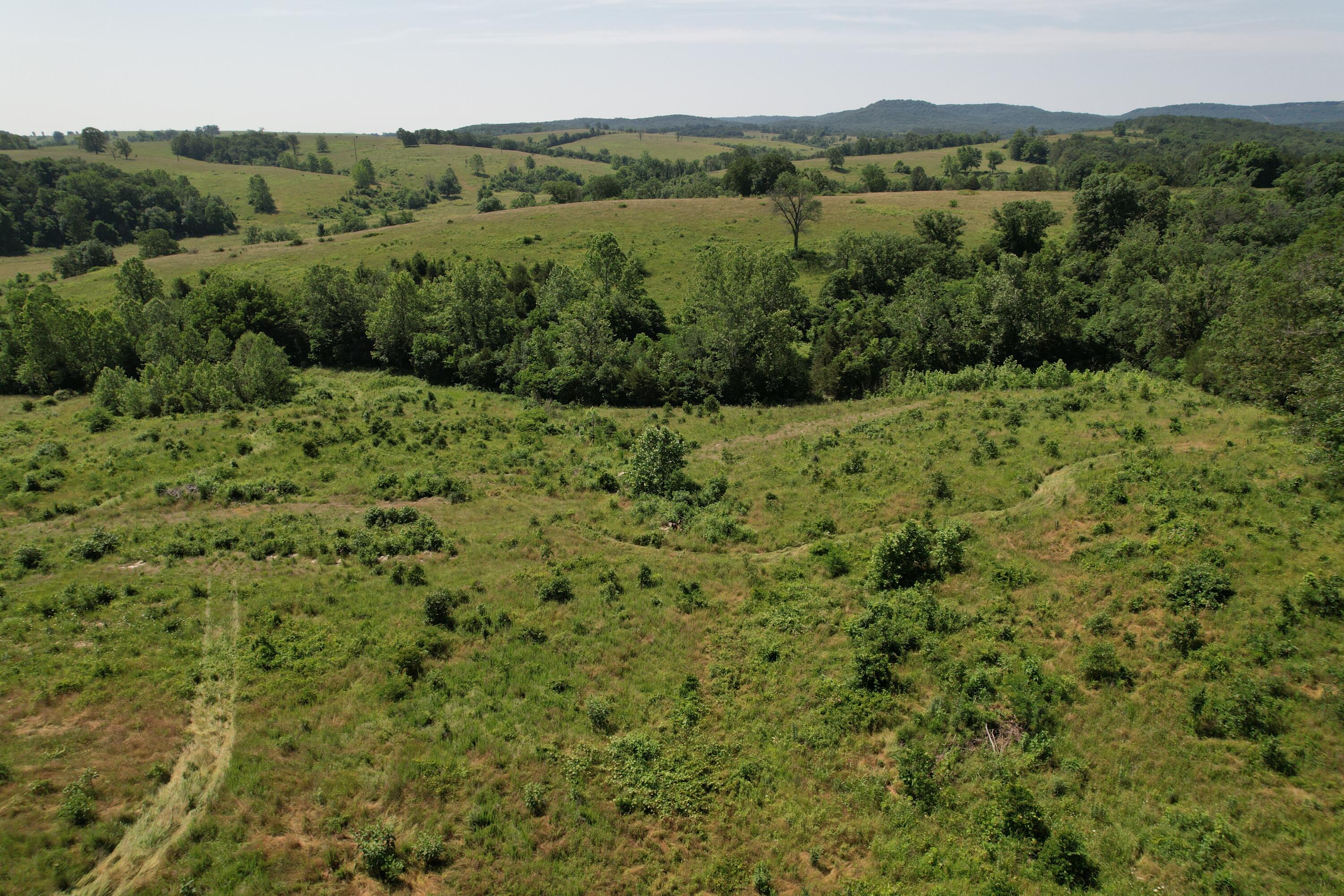 0000 State Highway 86 Property Photo 13