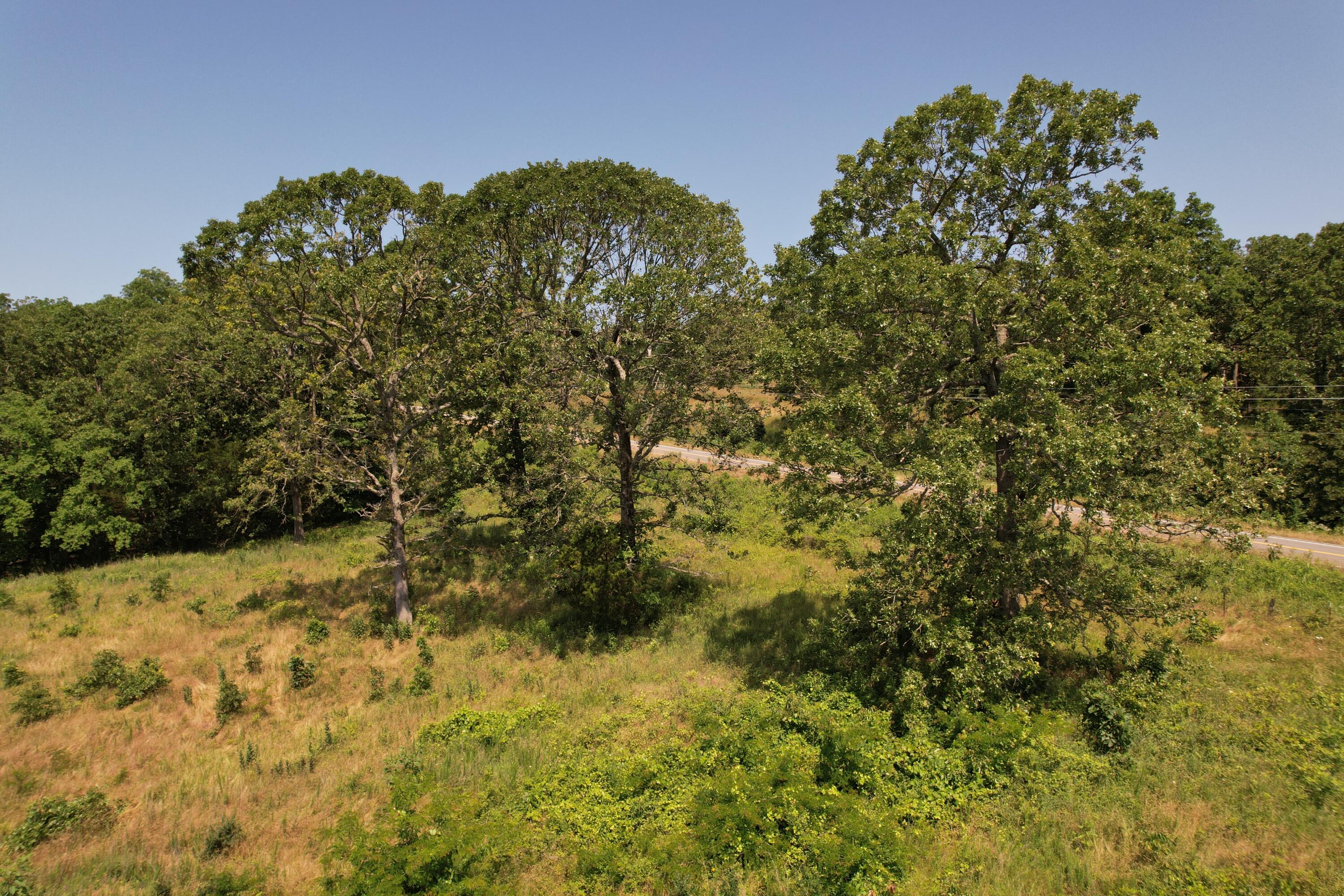 0000 State Highway 86 Property Photo 17