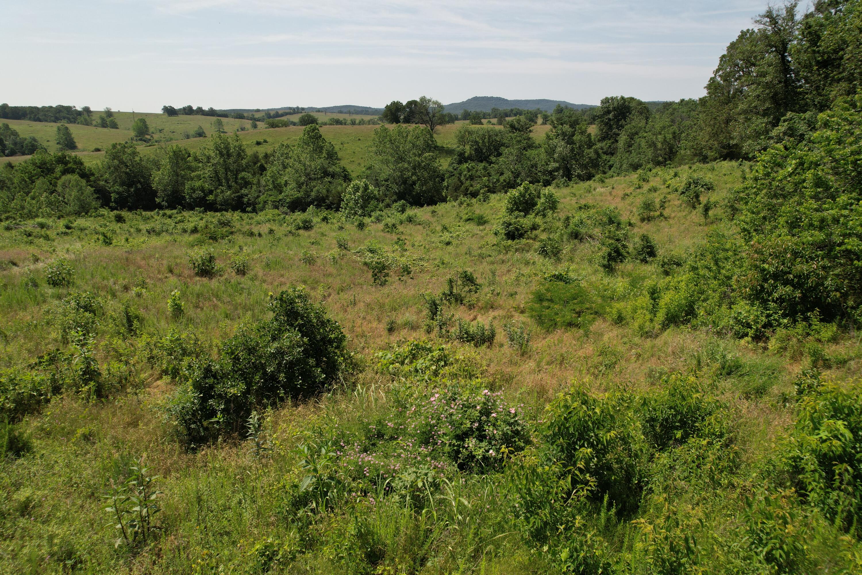 0000 State Highway 86 Property Photo 19