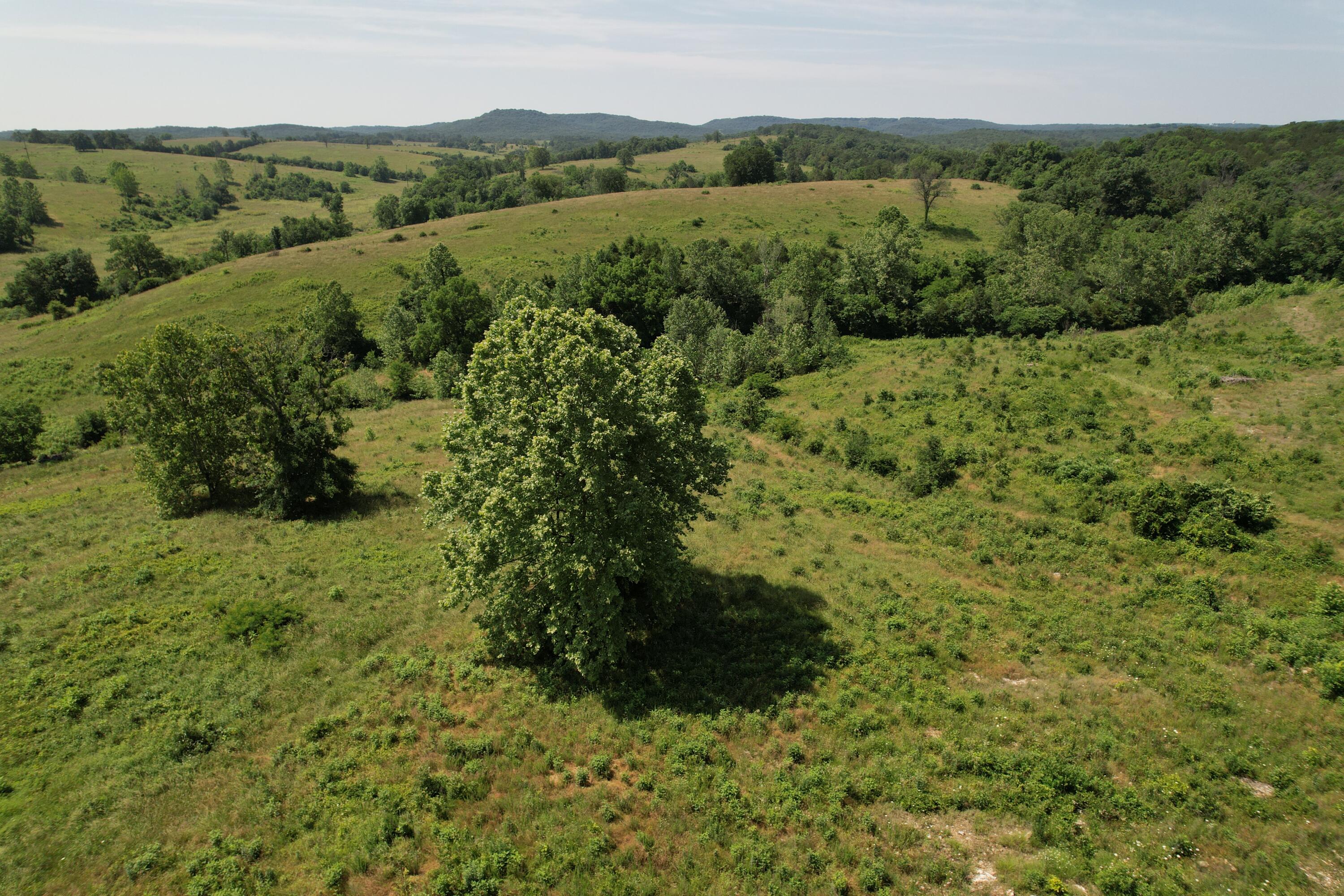 0000 State Highway 86 Property Photo 23