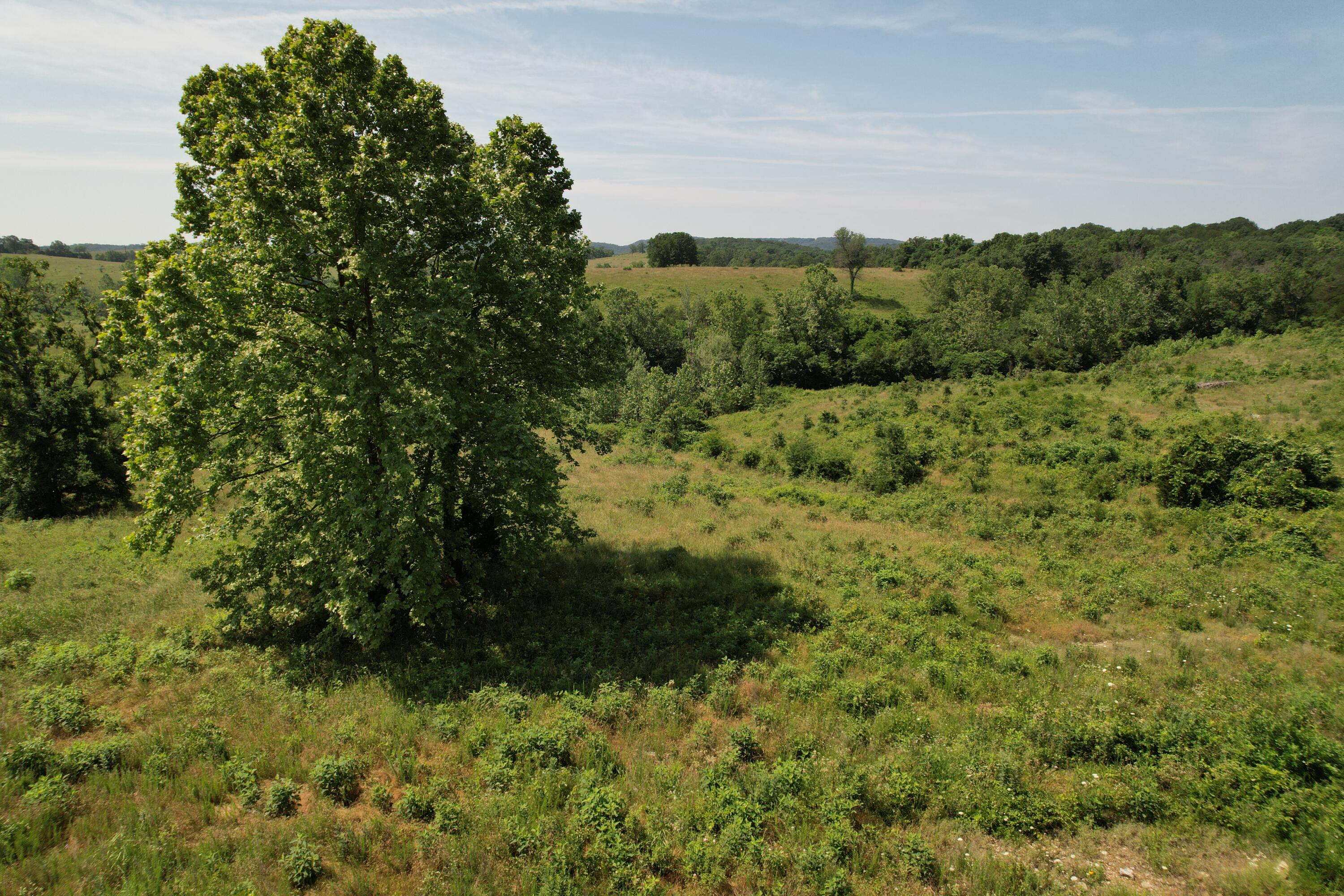 0000 State Highway 86 Property Photo 24