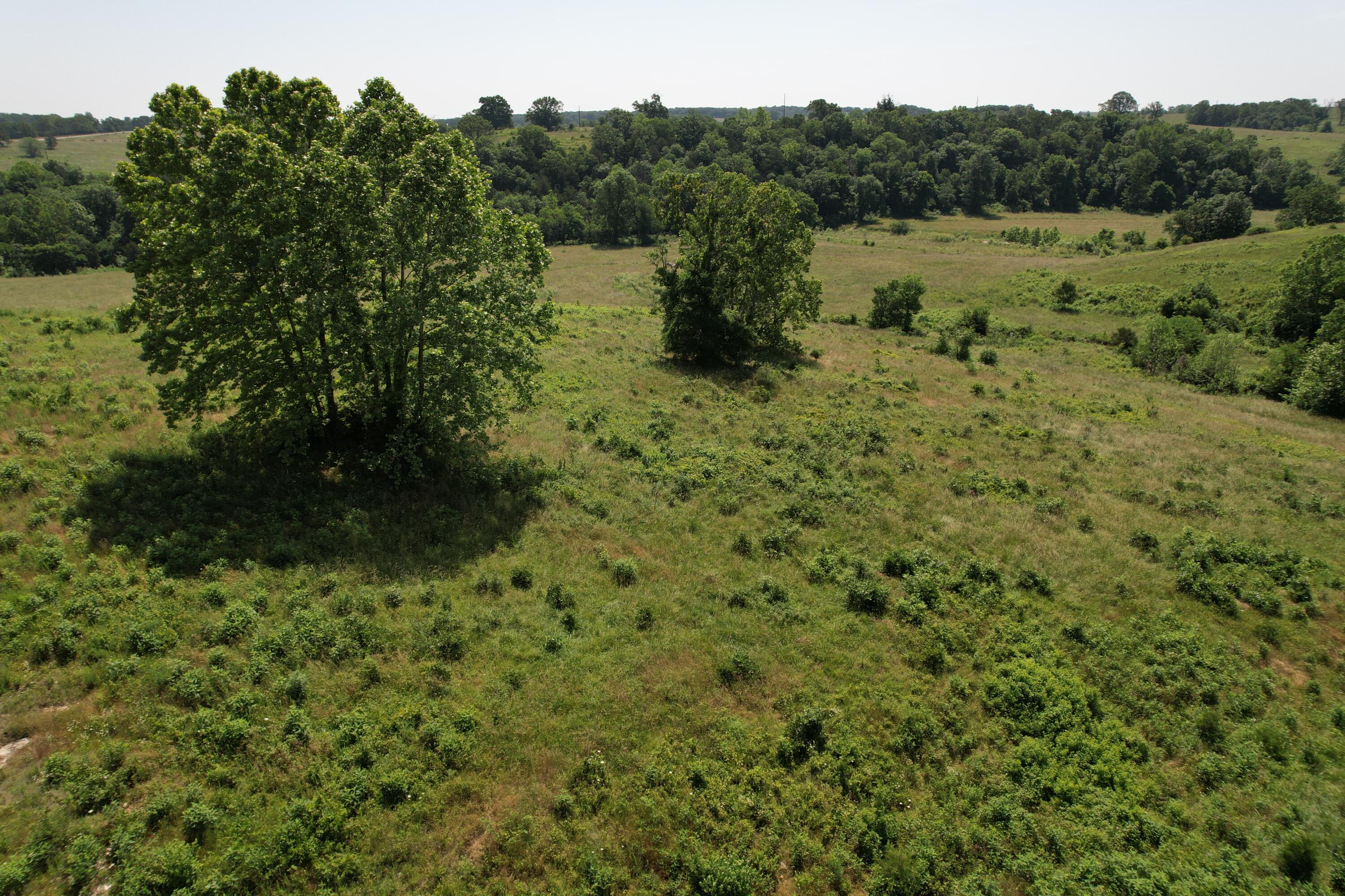 0000 State Highway 86 Property Photo 25