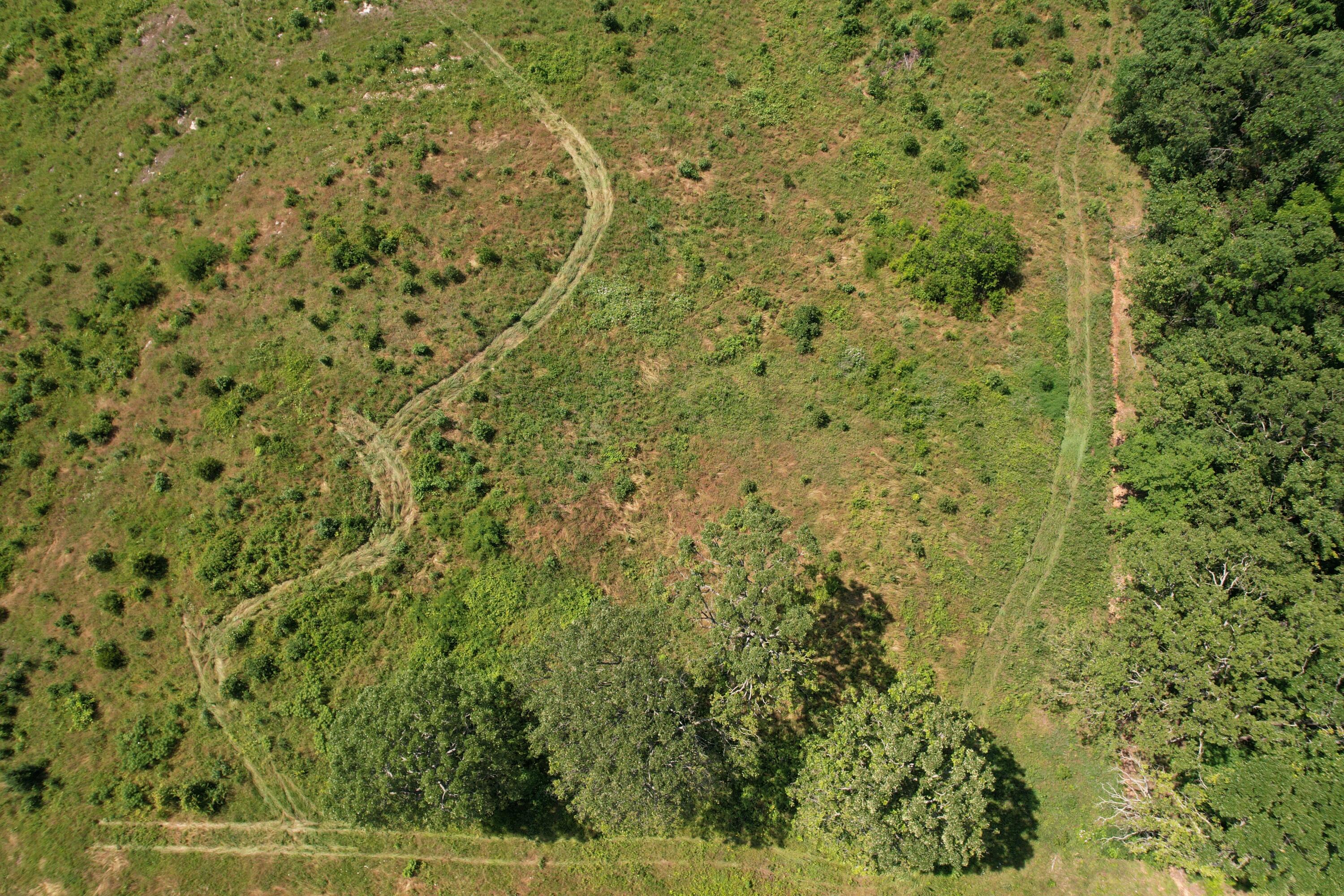 0000 State Highway 86 Property Photo 27