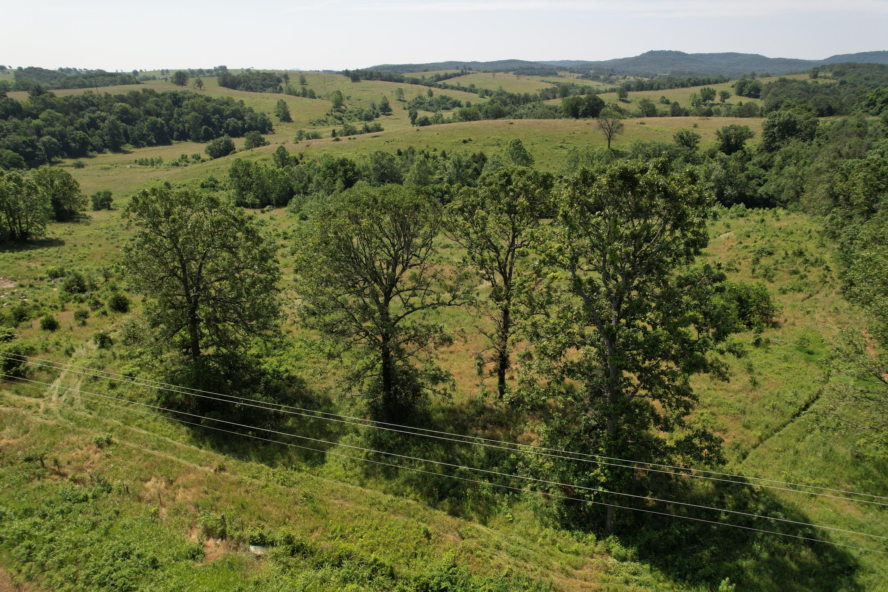 0000 State Highway 86 Property Photo 28