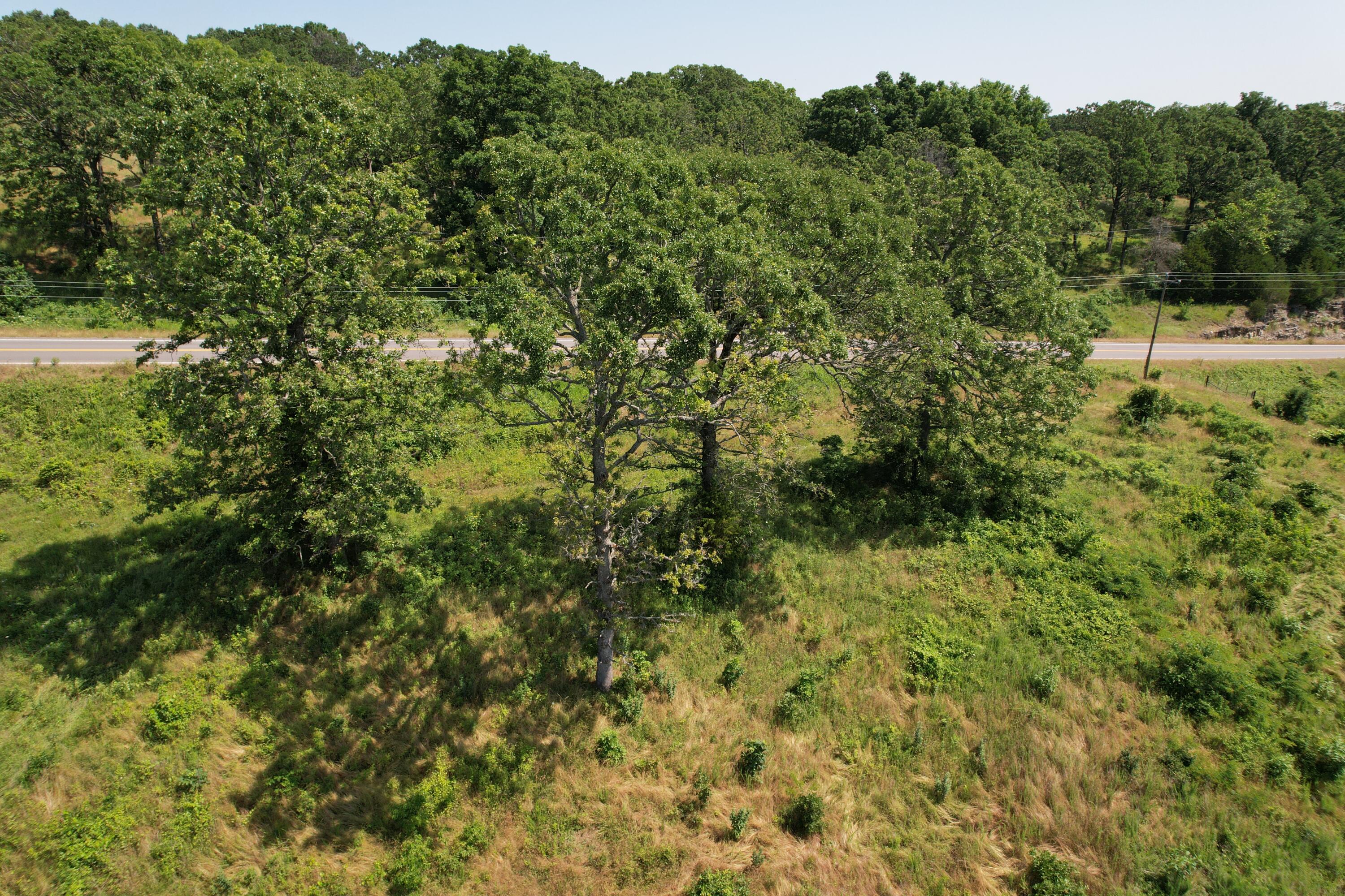 0000 State Highway 86 Property Photo 29