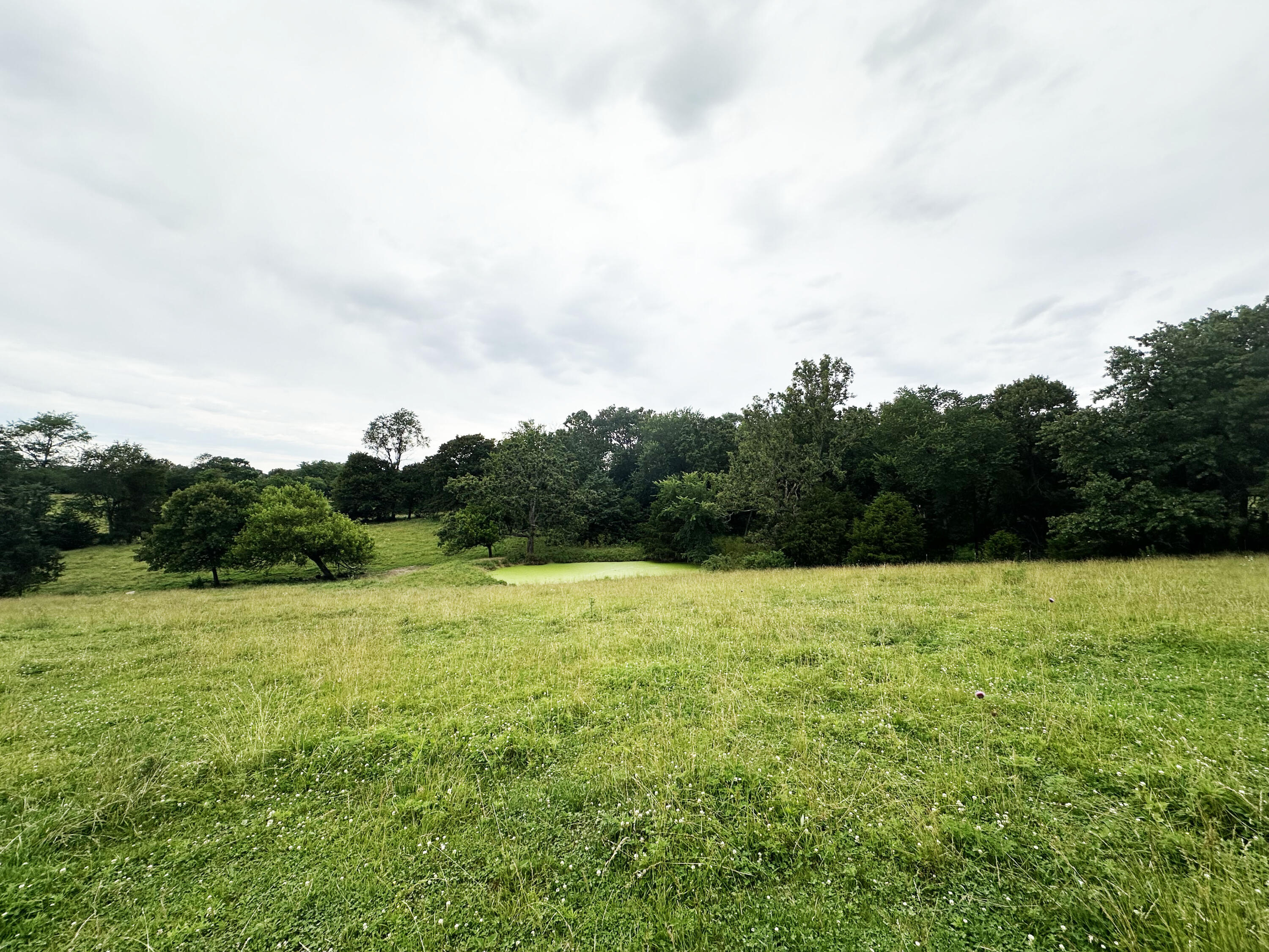 73 Gamble Road Property Photo 13