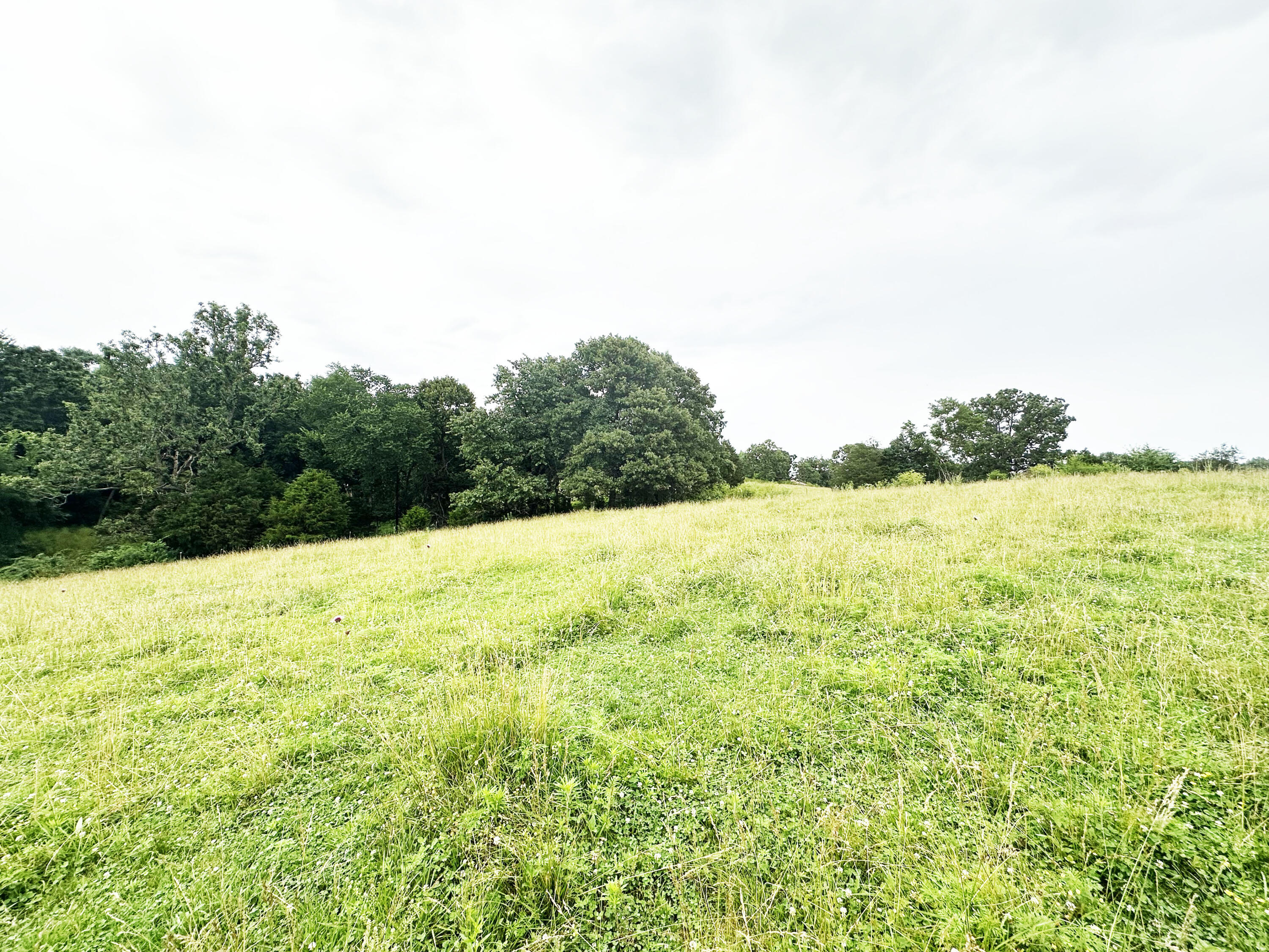 73 Gamble Road Property Photo 15