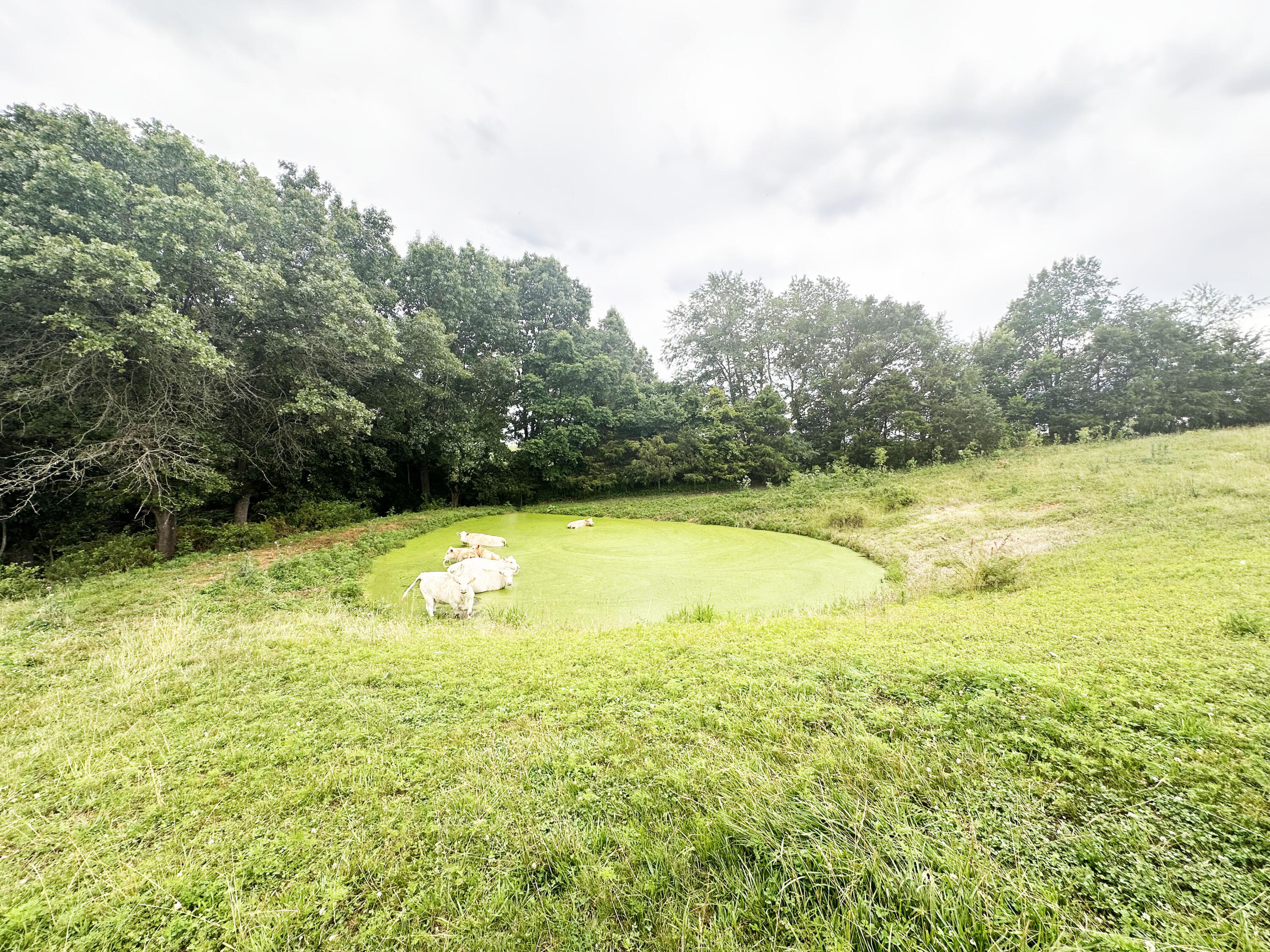 73 Gamble Road Property Photo 18