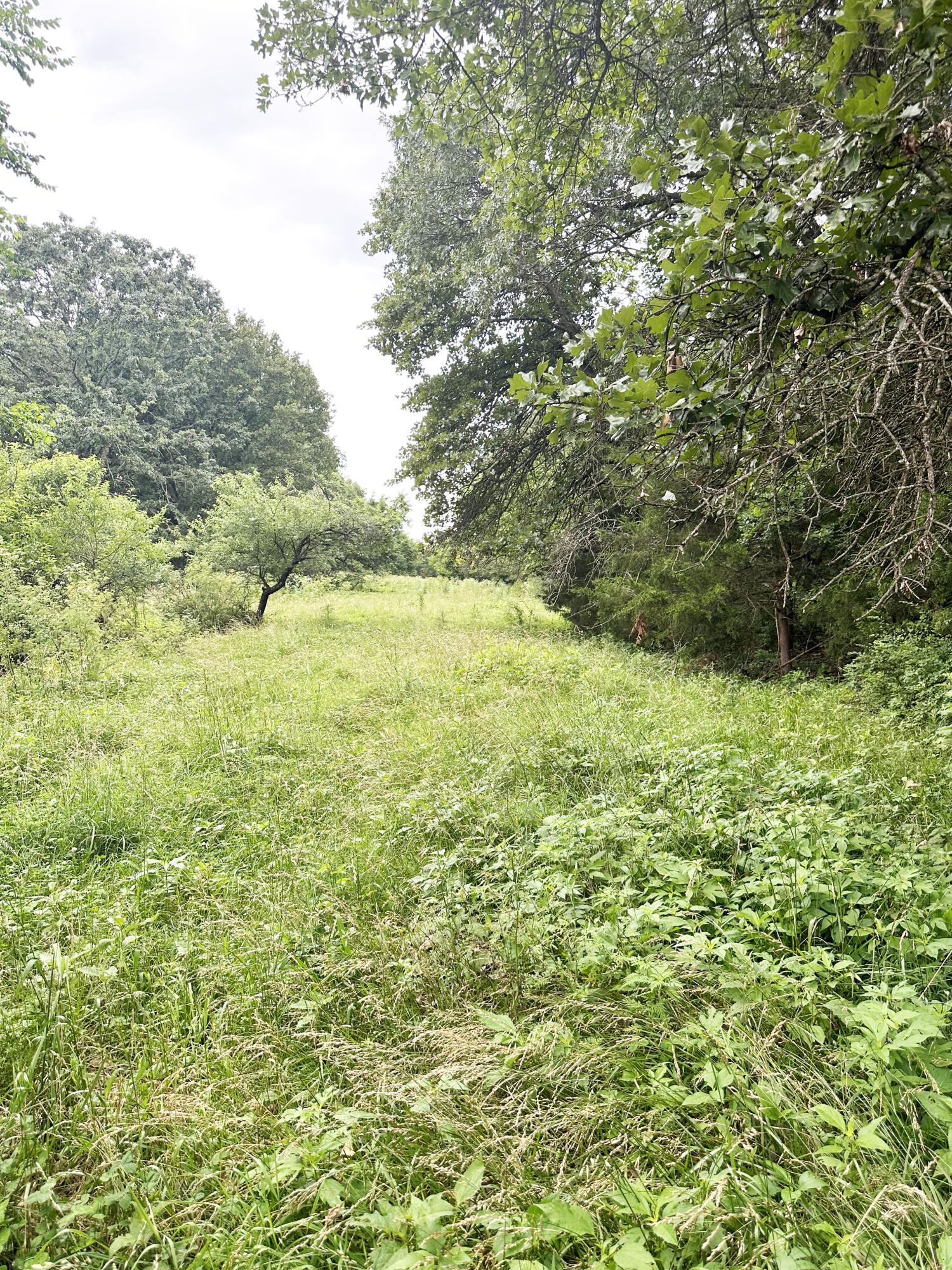 73 Gamble Road Property Photo 23