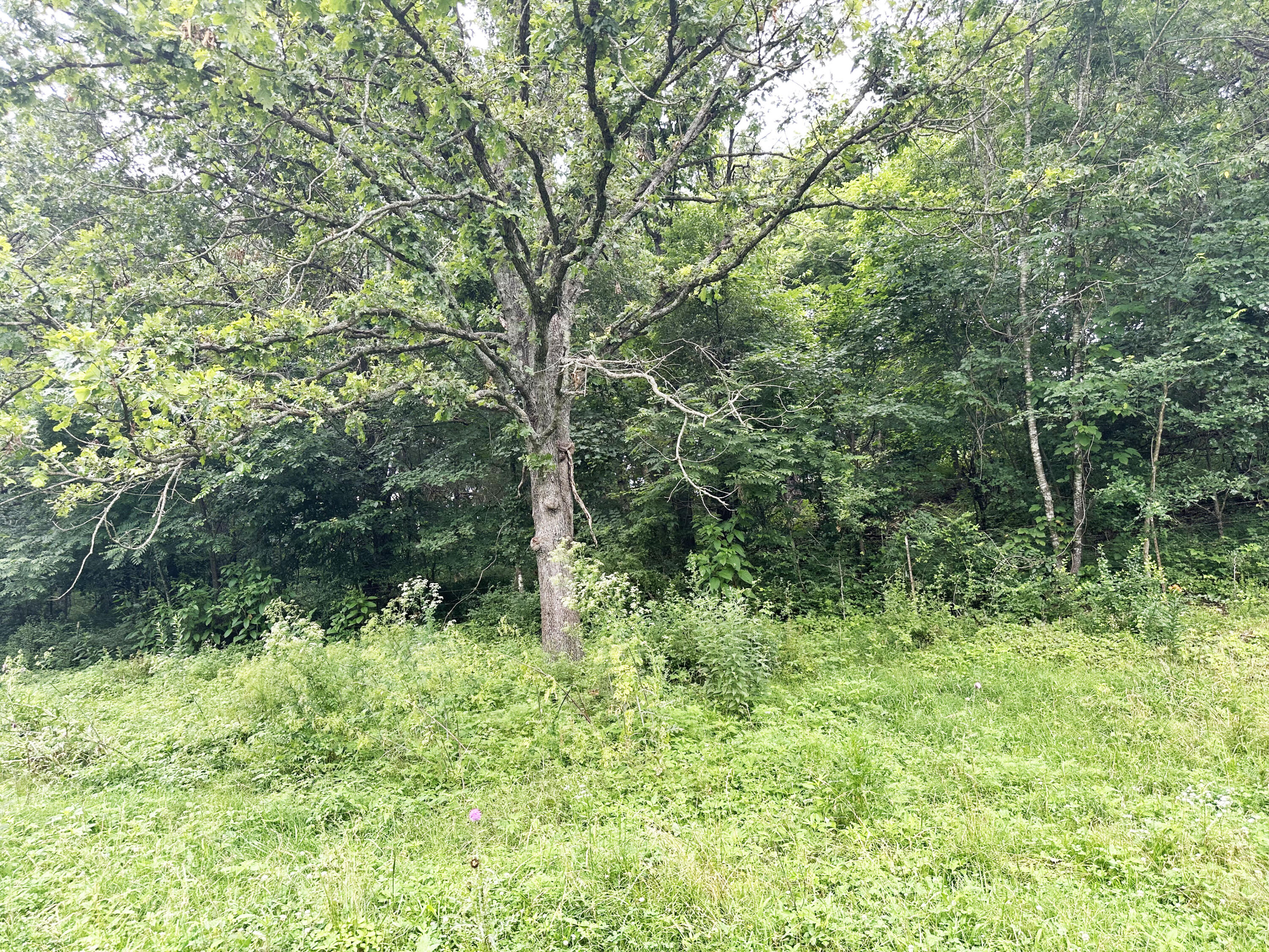 73 Gamble Road Property Photo 25