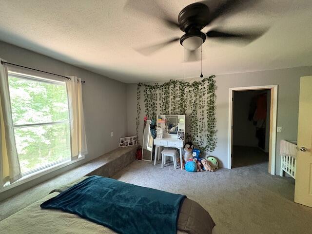 6231 State Highway 39 Property Photo 28