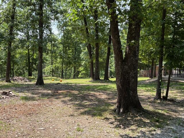 6231 State Highway 39 Property Photo 31