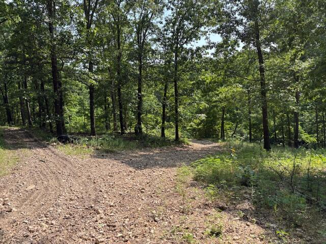 6231 State Highway 39 Property Photo 37