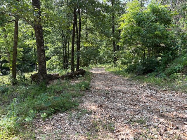 6231 State Highway 39 Property Photo 38