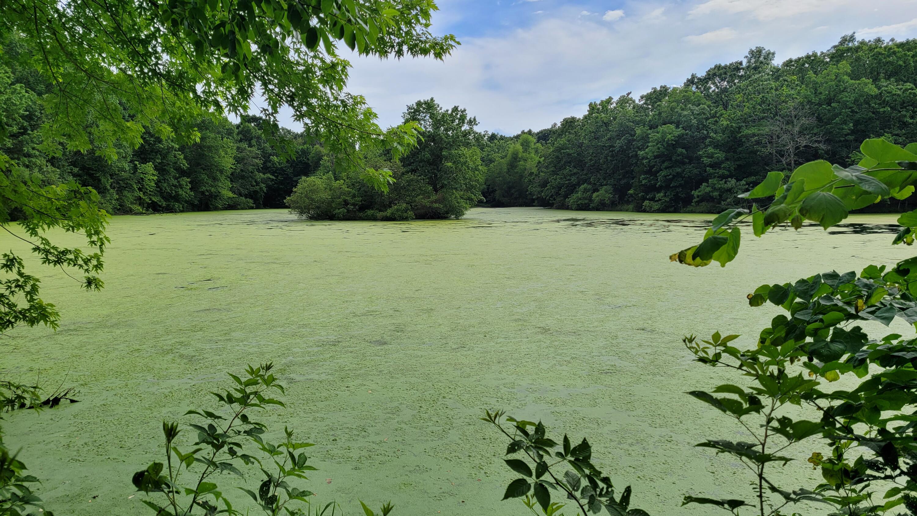 420 Lake Valley Drive Property Photo 4