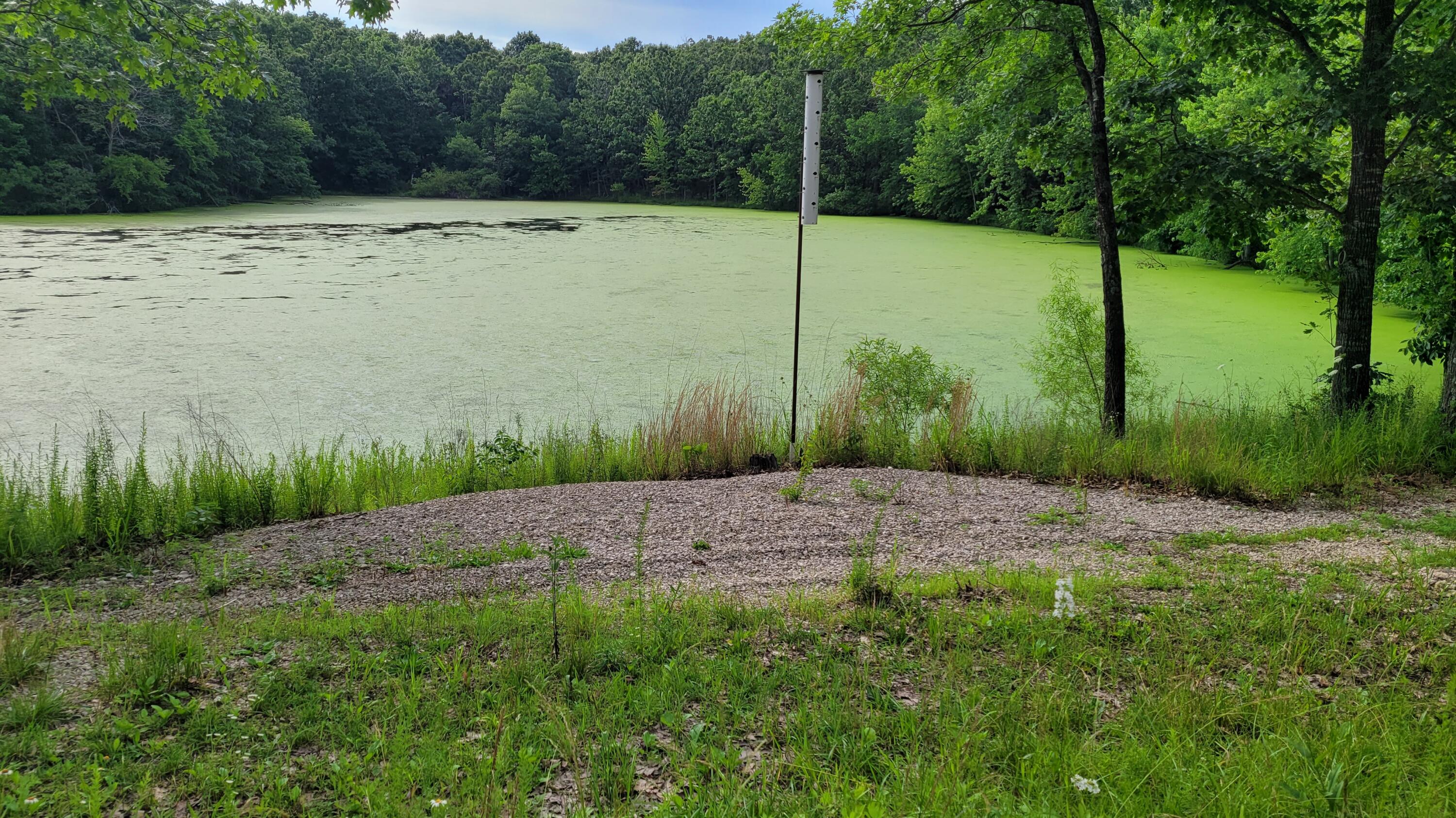 420 Lake Valley Drive Property Photo 5