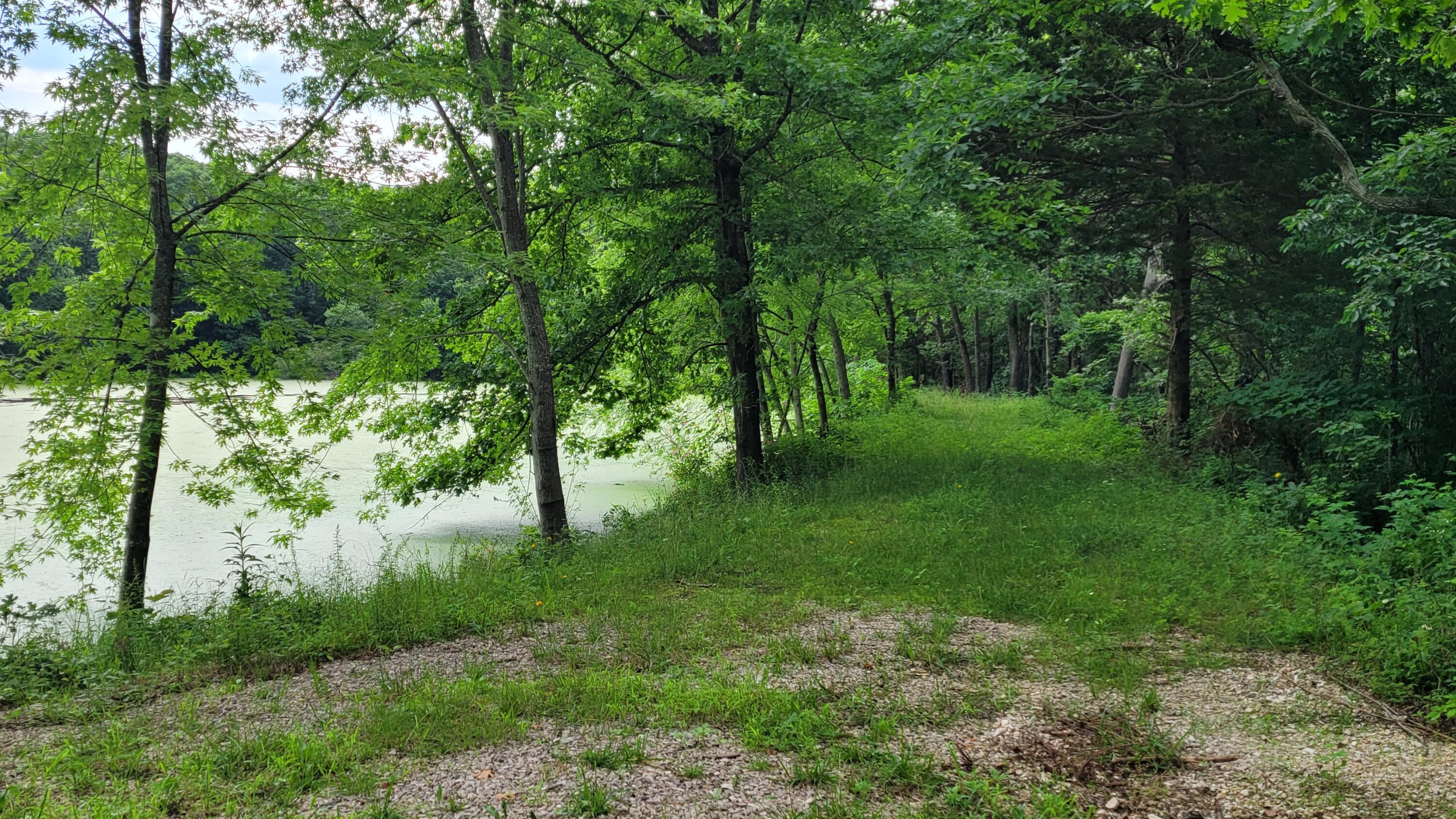 420 Lake Valley Drive Property Photo 6