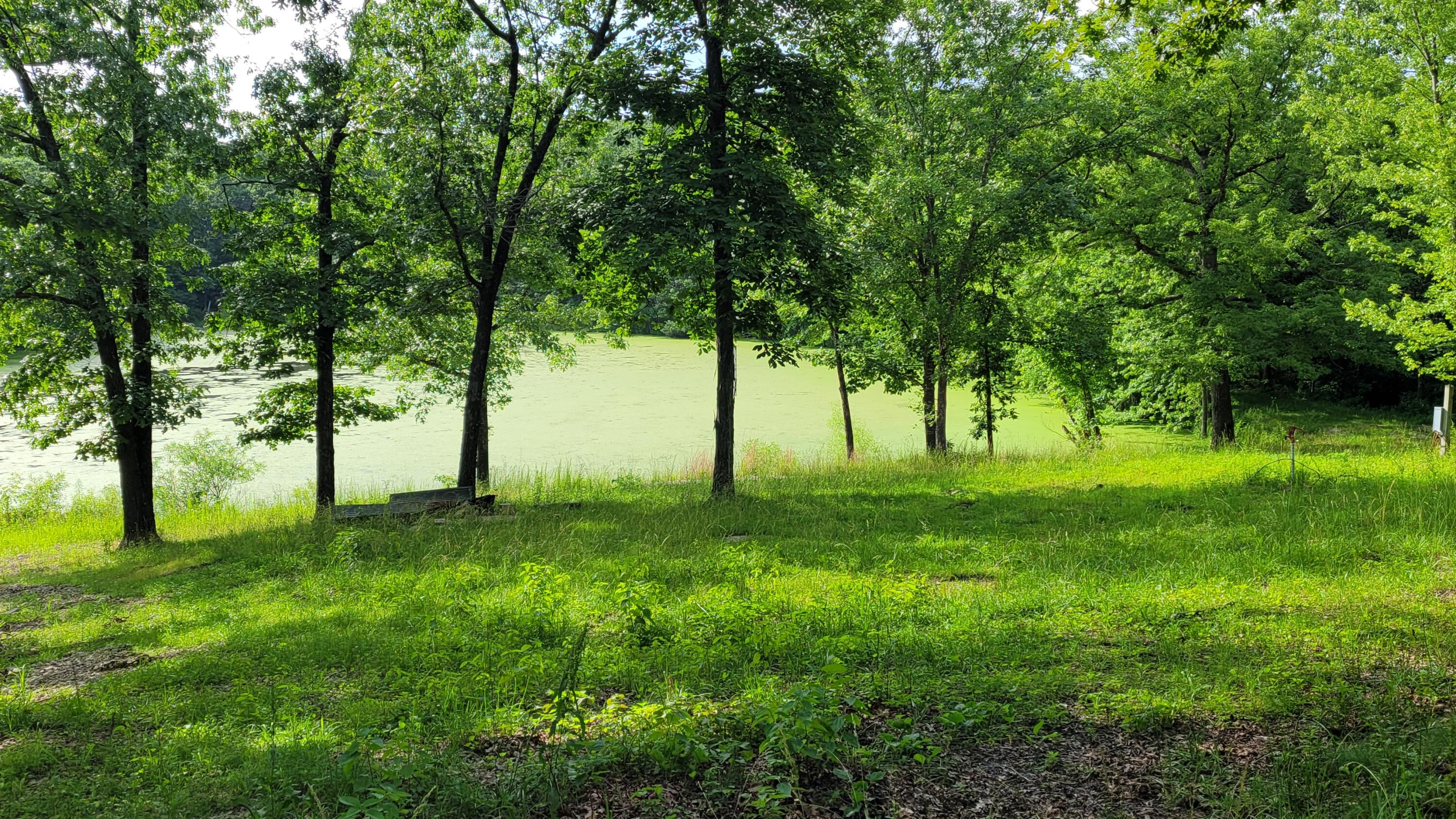 420 Lake Valley Drive Property Photo 7