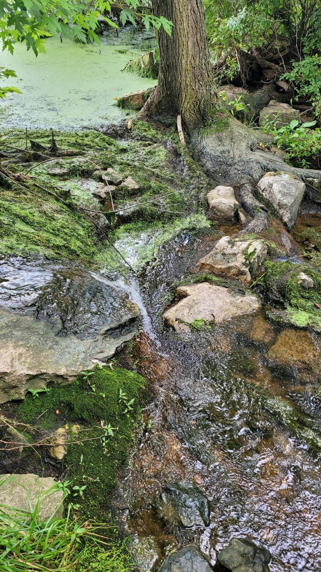 420 Lake Valley Drive Property Photo 8