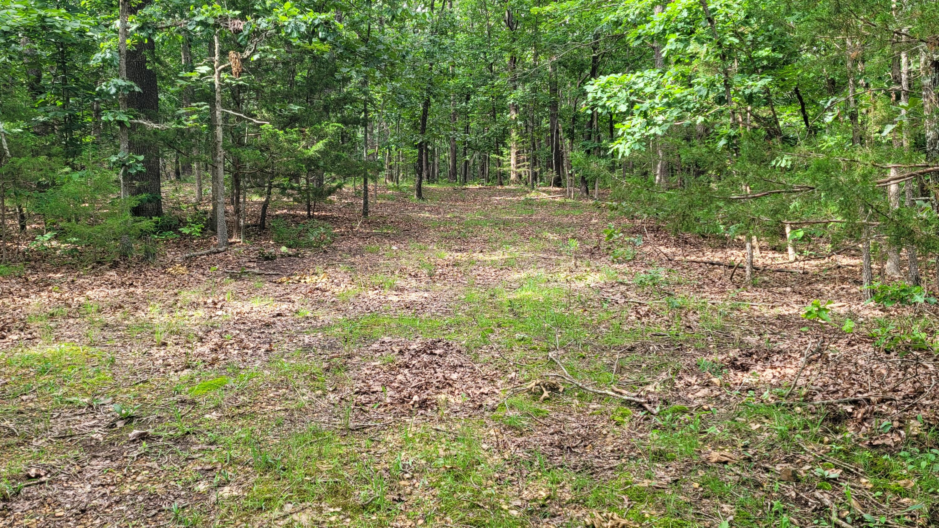 420 Lake Valley Drive Property Photo 9