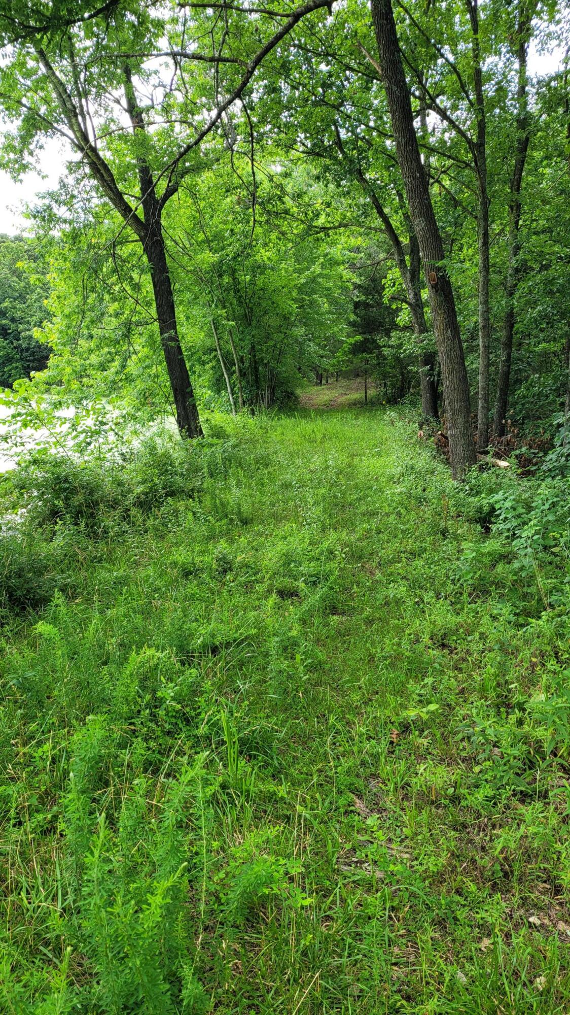 420 Lake Valley Drive Property Photo 11