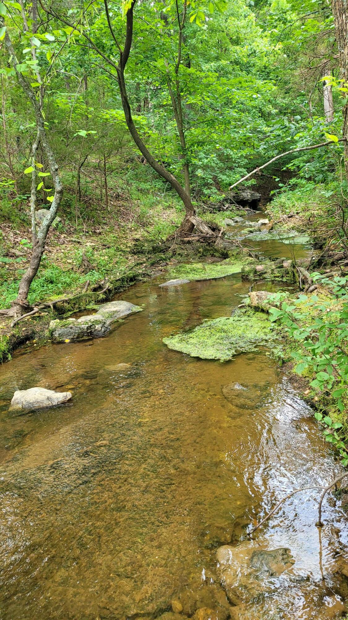 420 Lake Valley Drive Property Photo 12