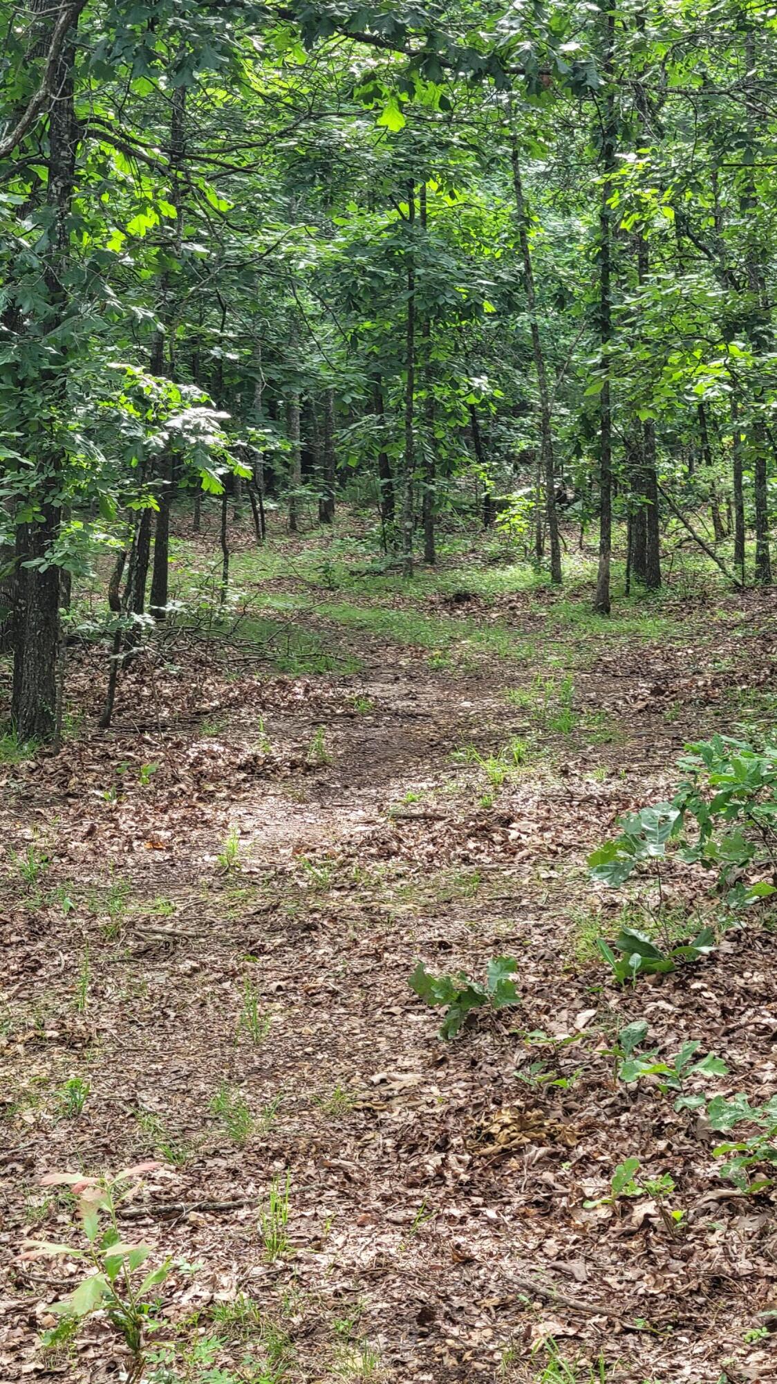 420 Lake Valley Drive Property Photo 13