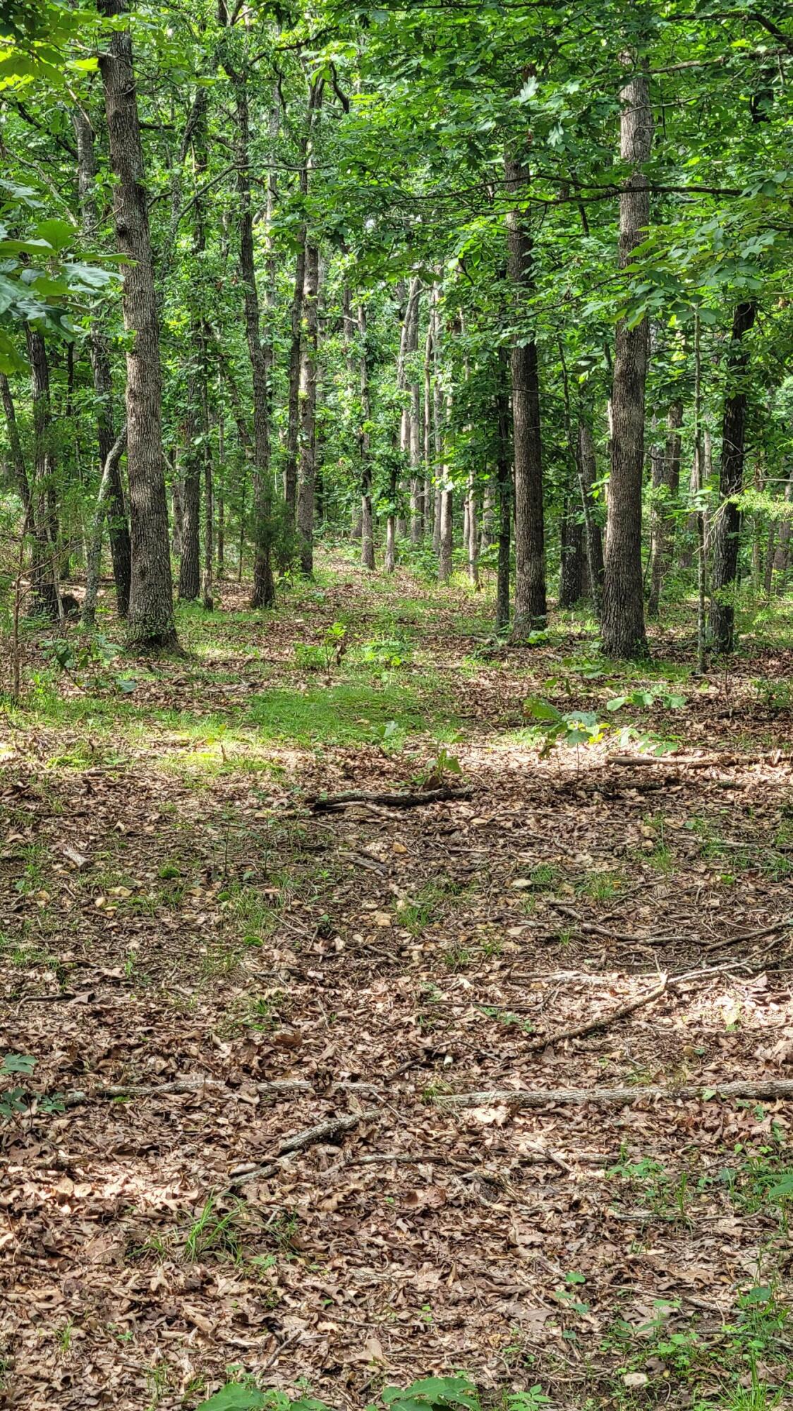 420 Lake Valley Drive Property Photo 14