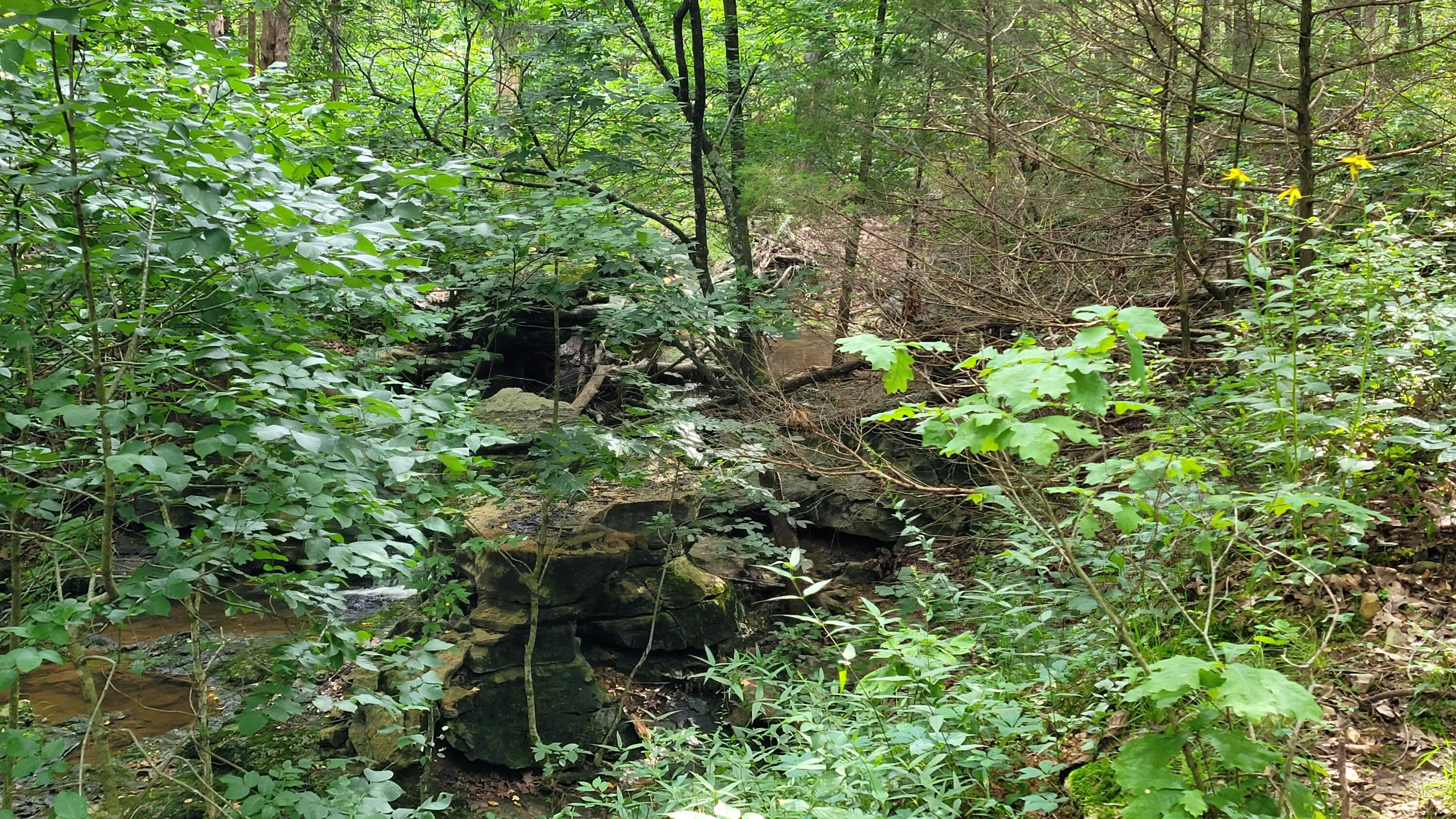 420 Lake Valley Drive Property Photo 15