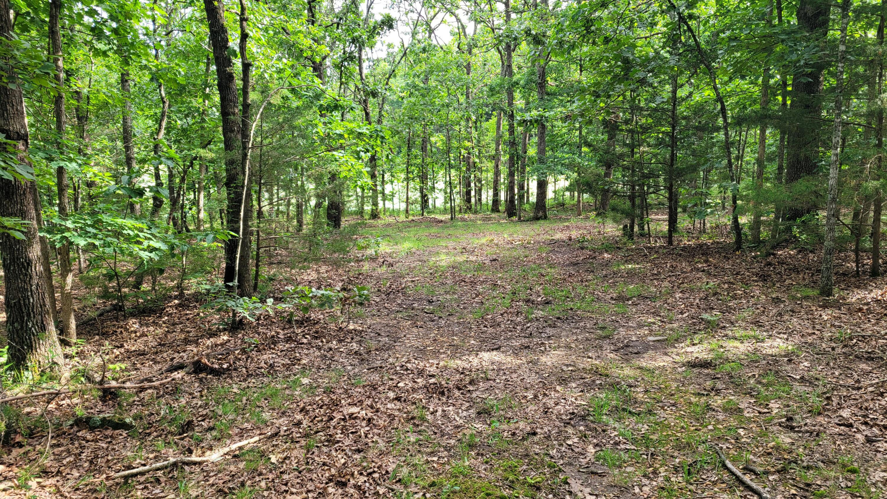 420 Lake Valley Drive Property Photo 16