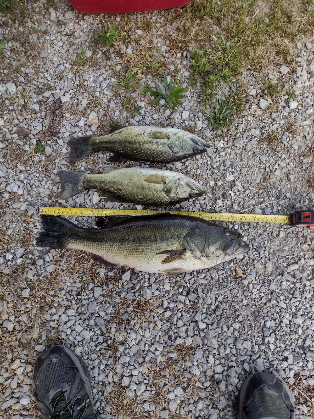 420 Lake Valley Drive Property Photo 18