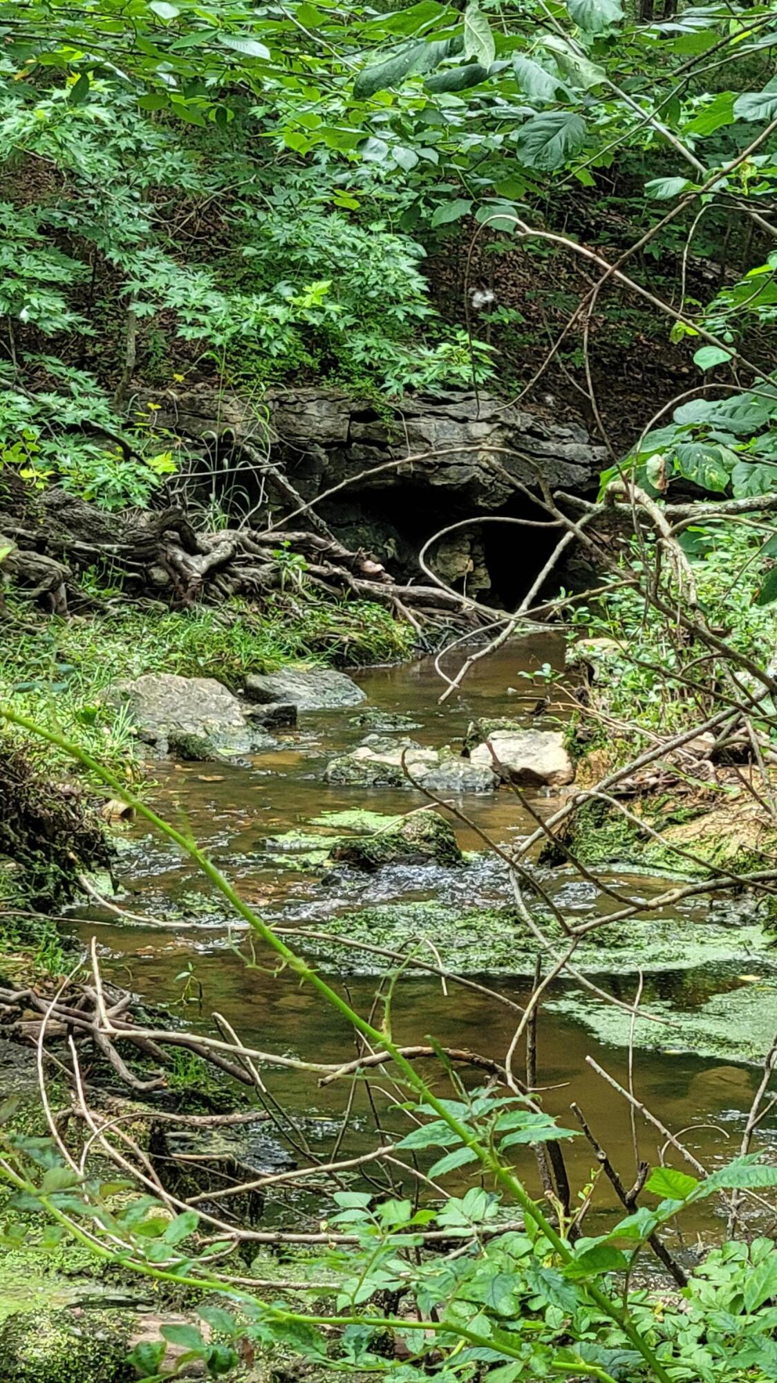 420 Lake Valley Drive Property Photo 19