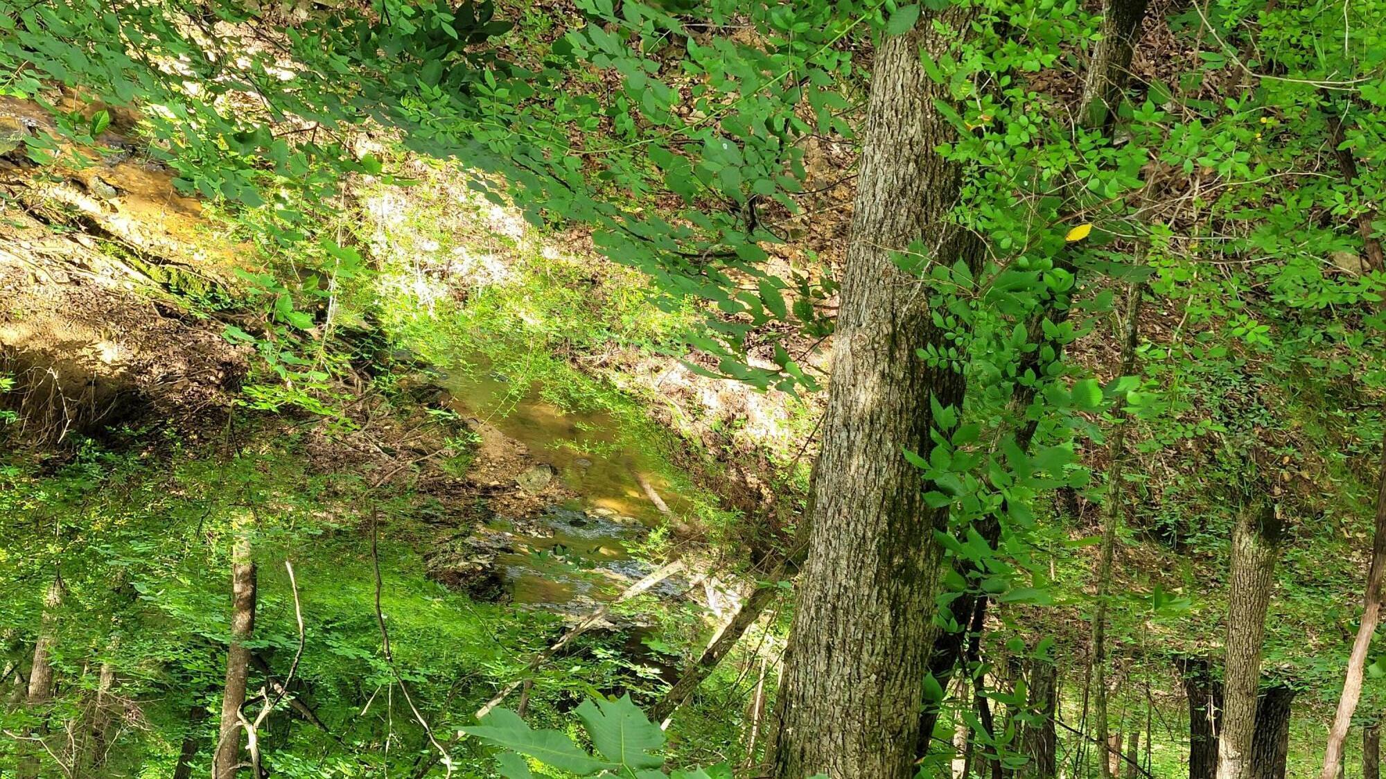 420 Lake Valley Drive Property Photo 20