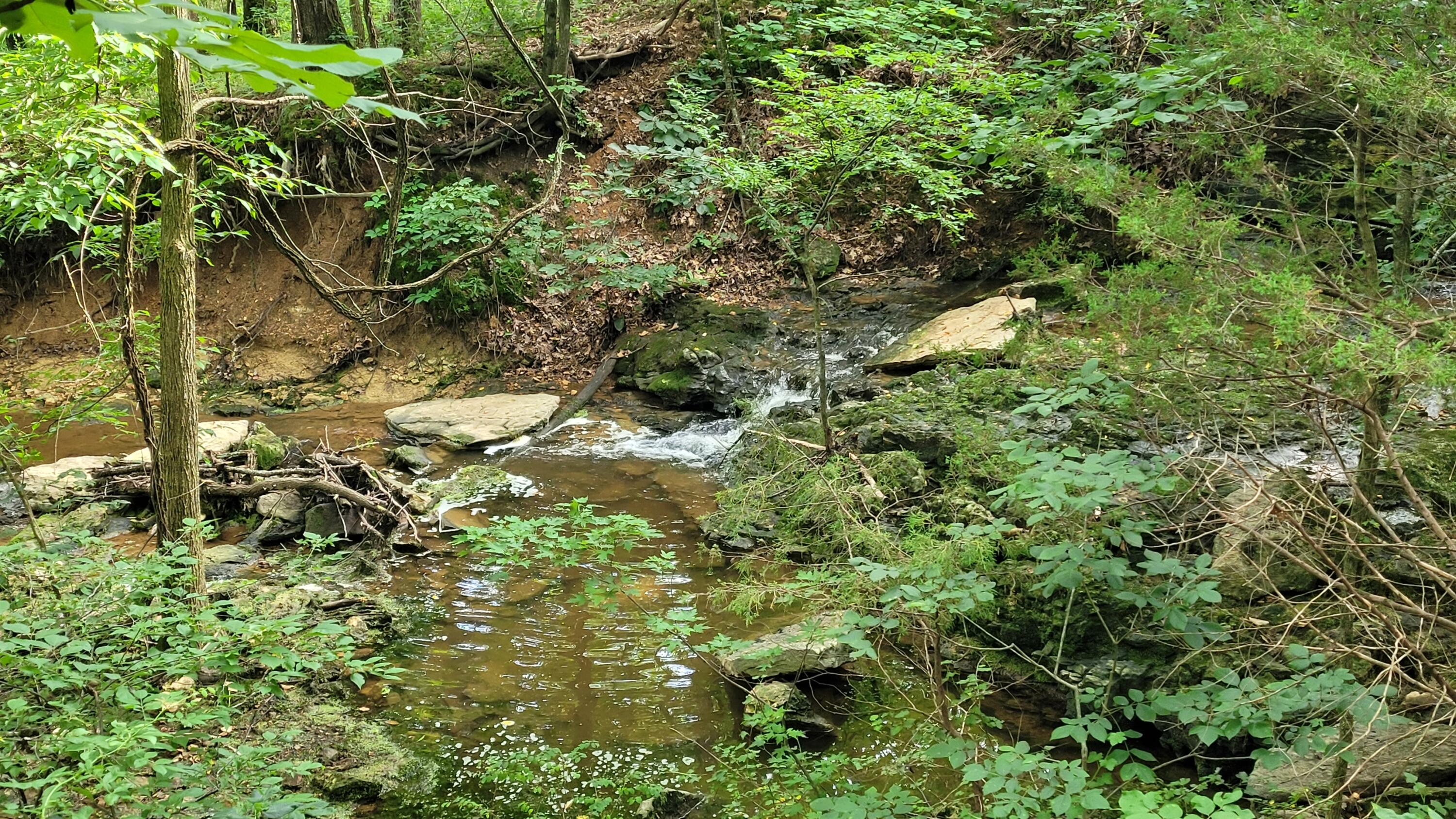 420 Lake Valley Drive Property Photo 21