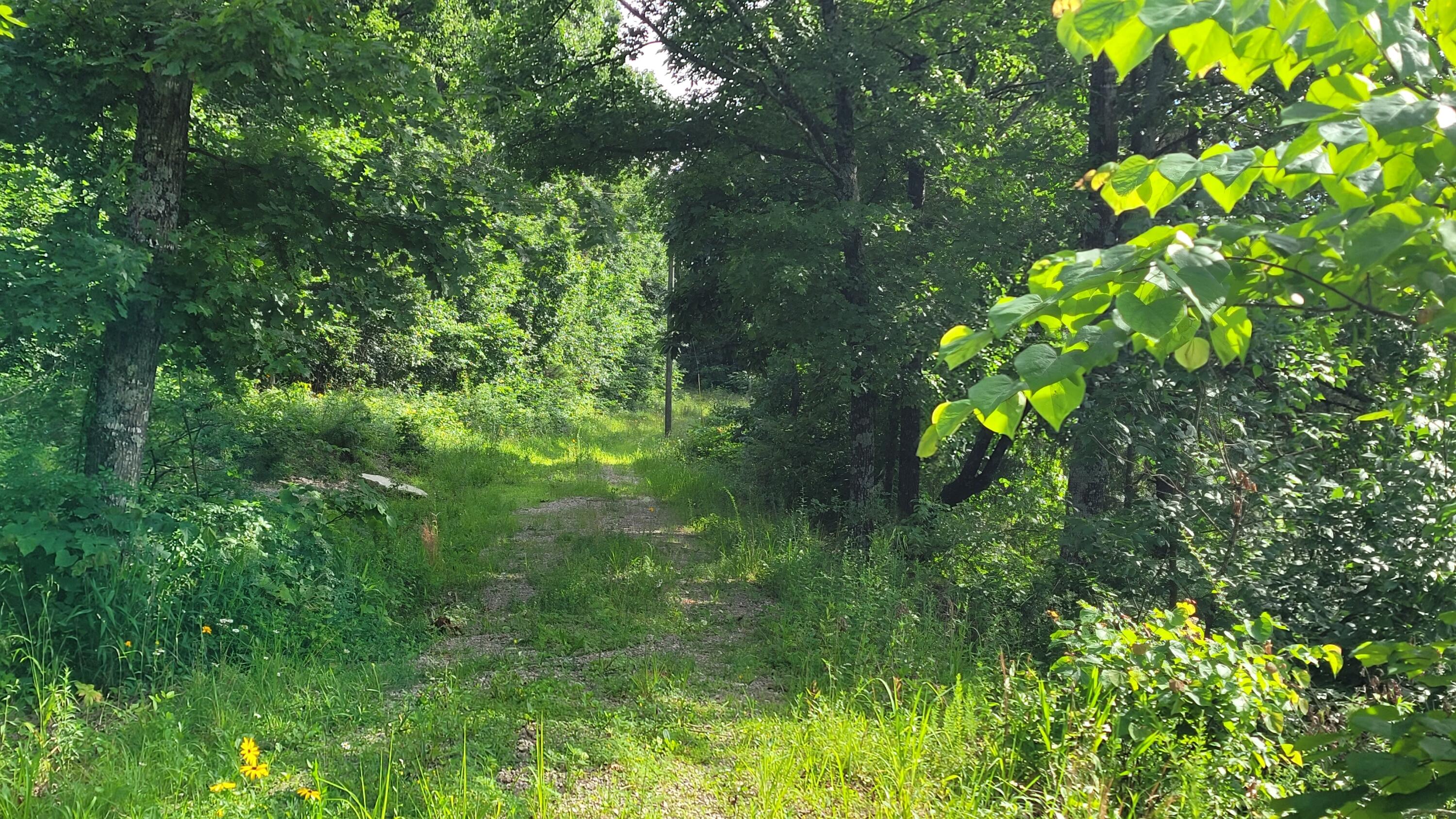 420 Lake Valley Drive Property Photo 29