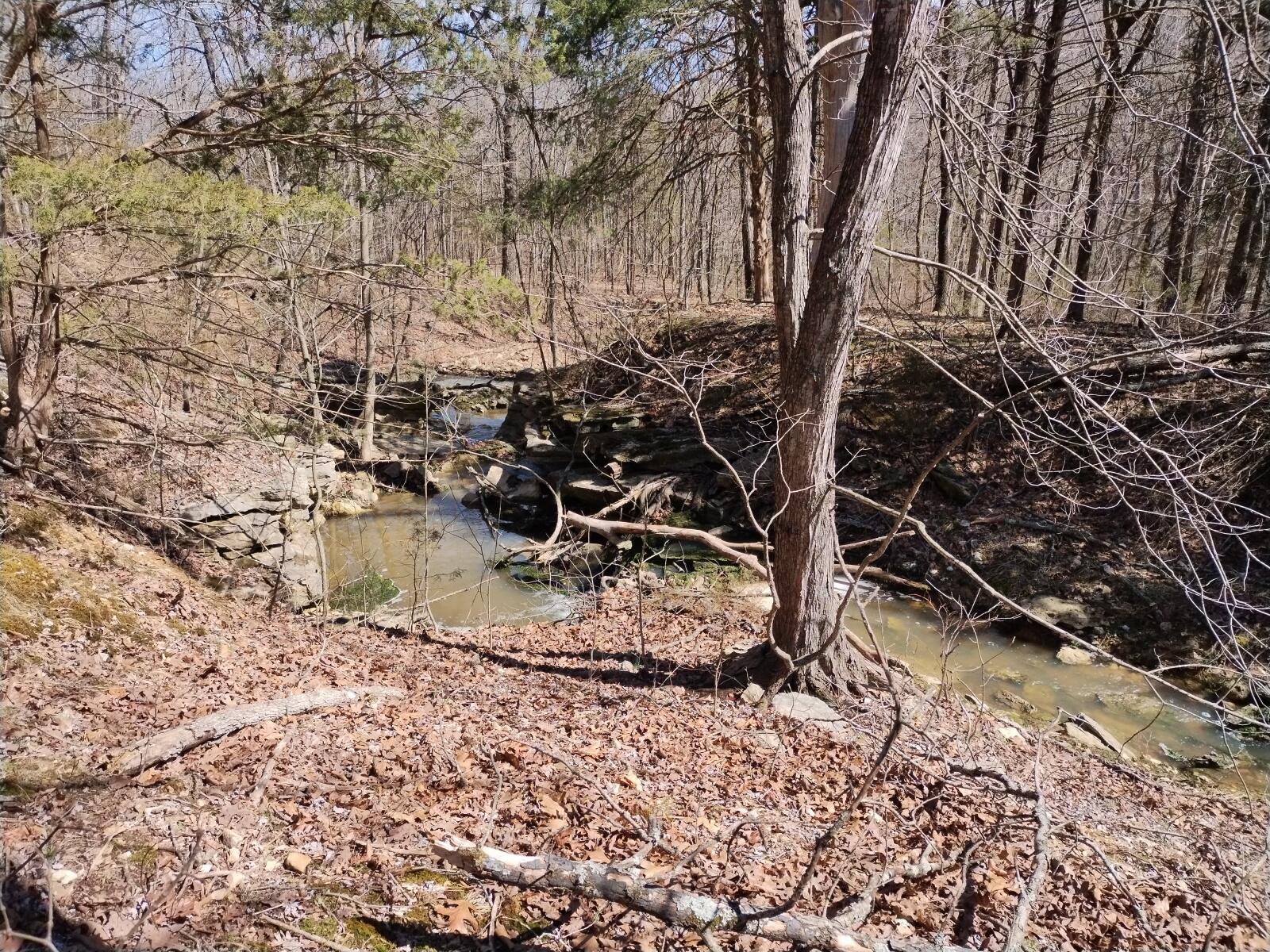 420 Lake Valley Drive Property Photo 31