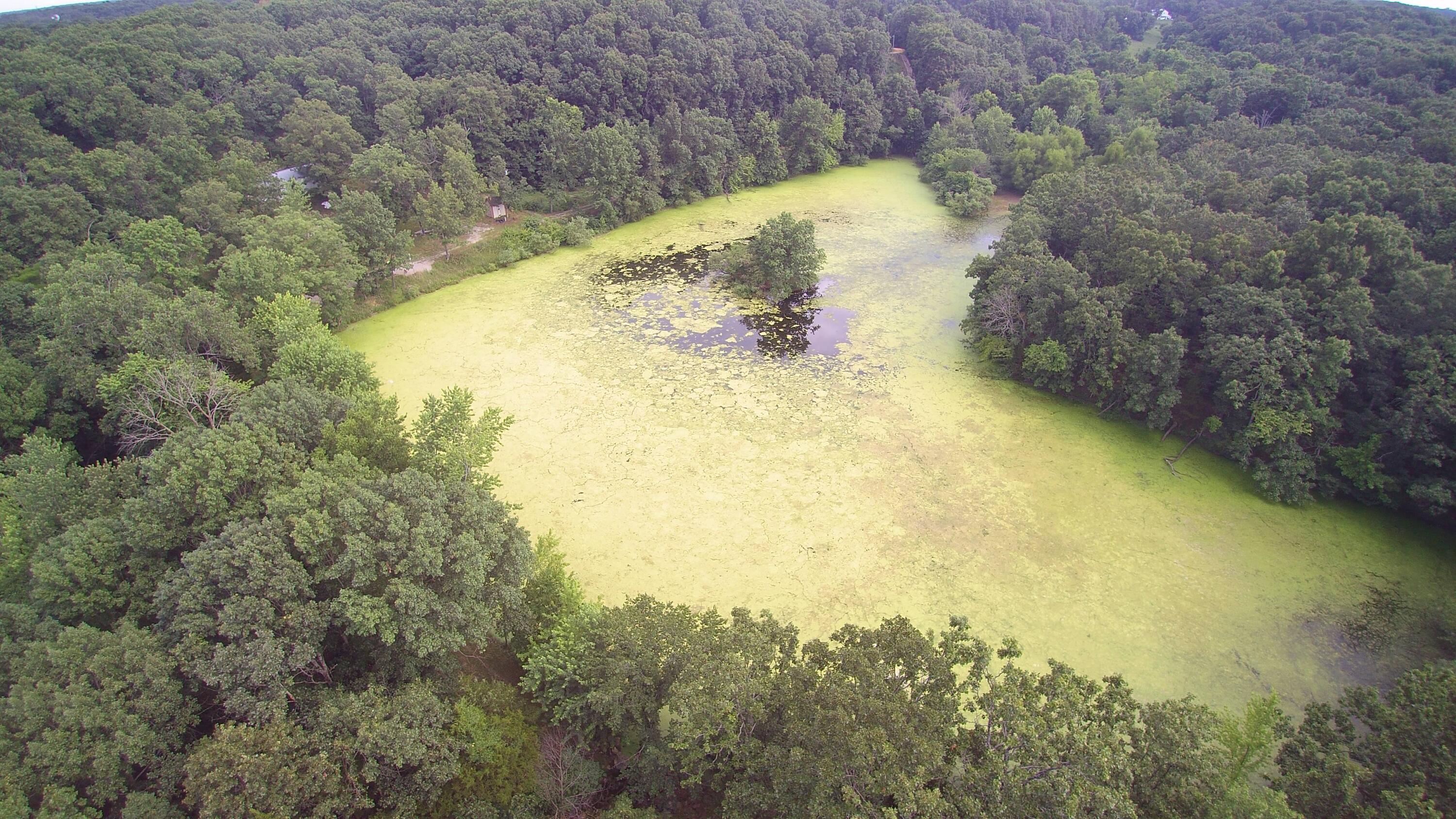 420 Lake Valley Drive Property Photo 32