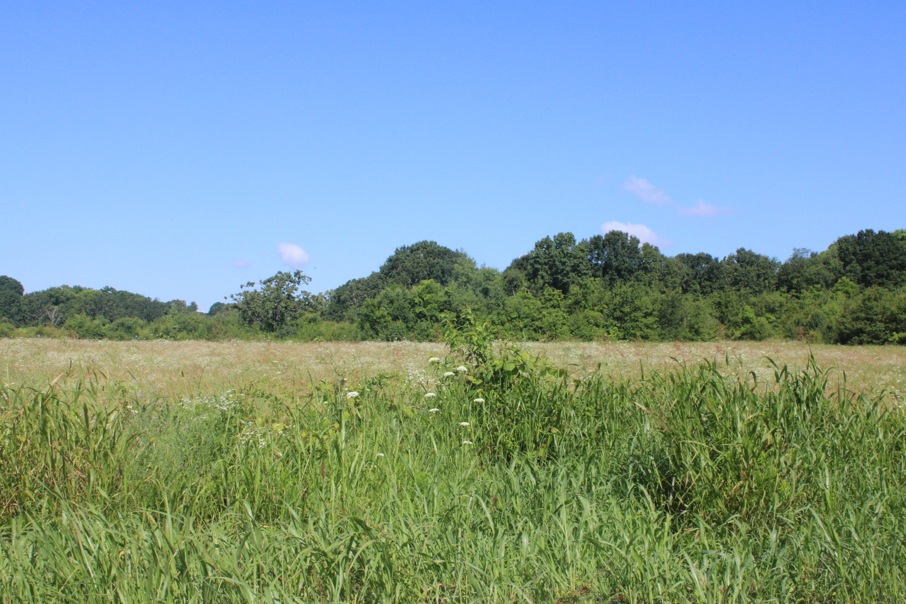 60297479 Property Photo 1